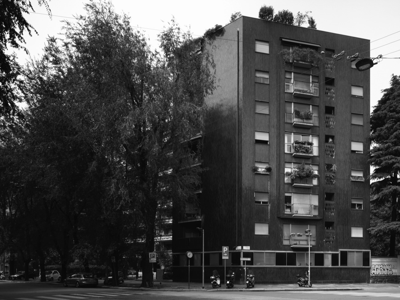 A short description about the picture goes here