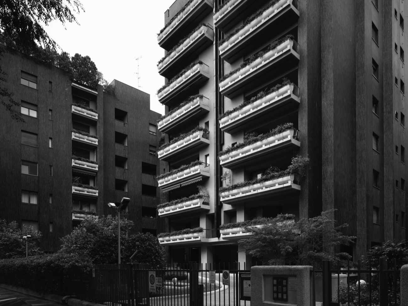 A short description about the picture goes here