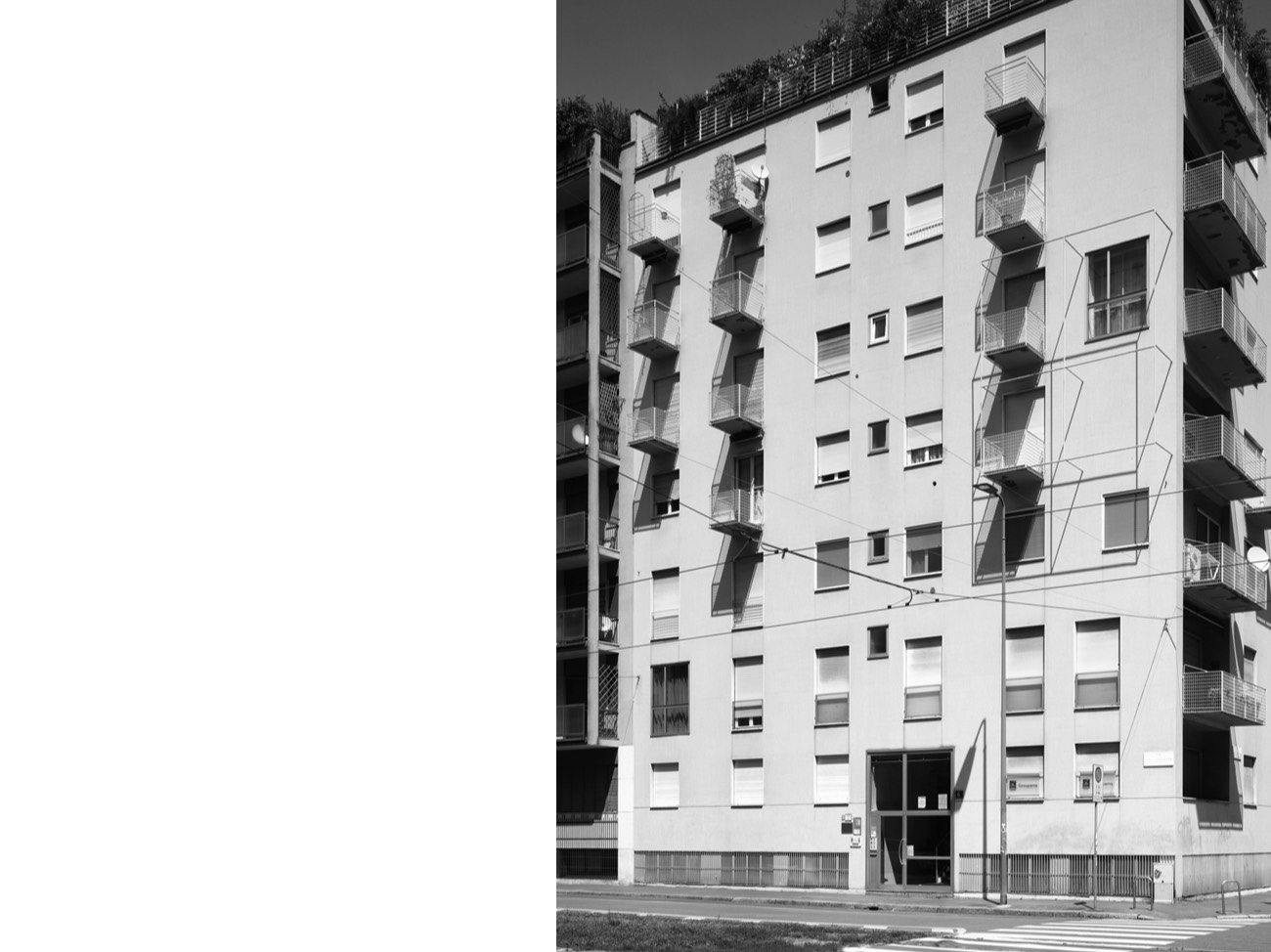 A short description about the picture goes here