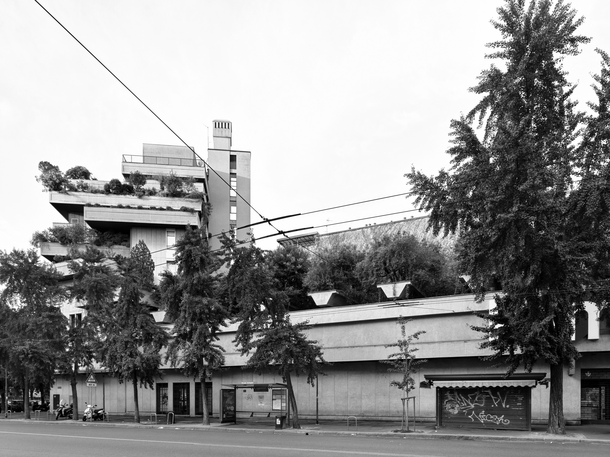 A short description about the picture goes here