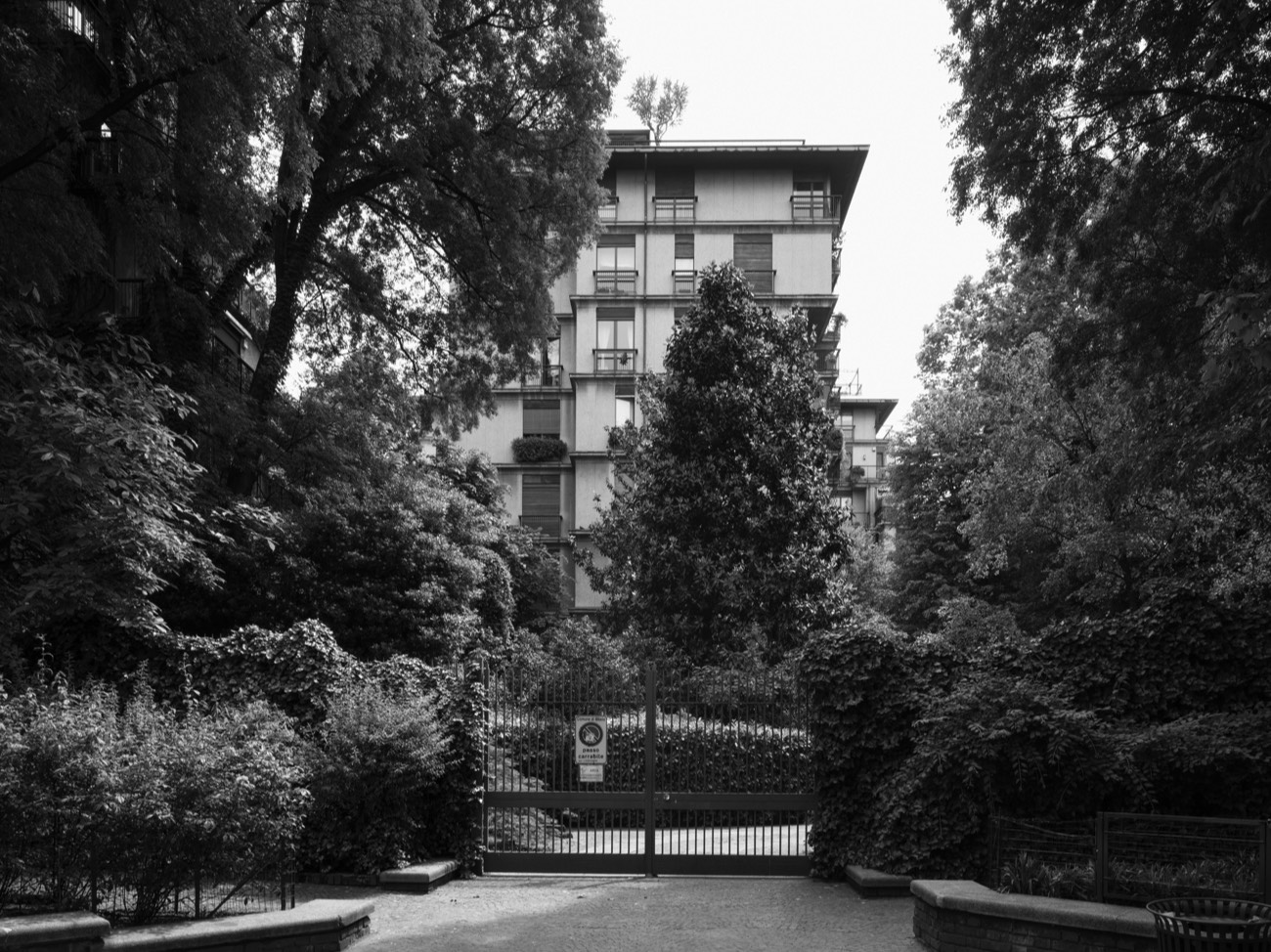 A short description about the picture goes here