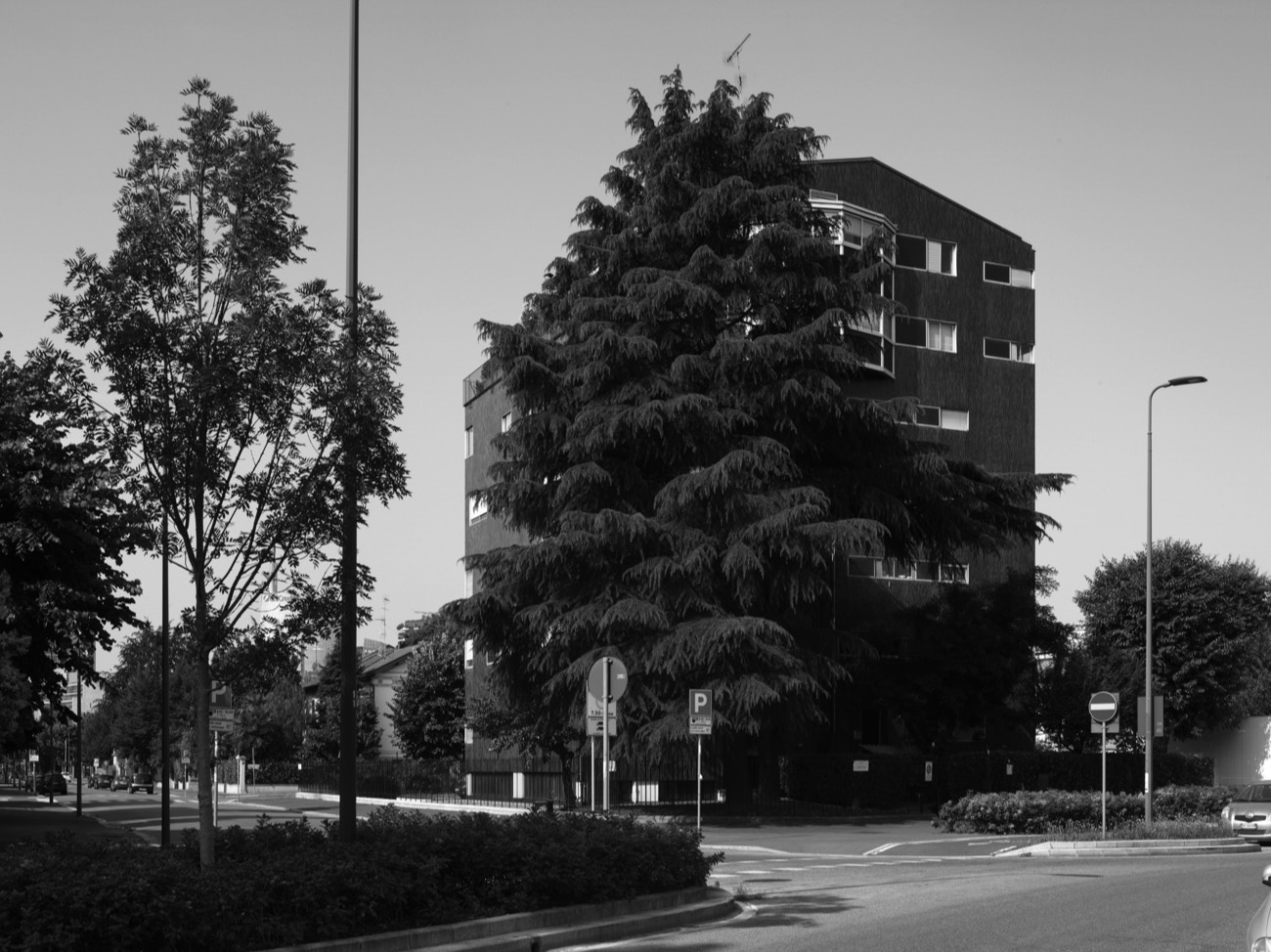 A short description about the picture goes here