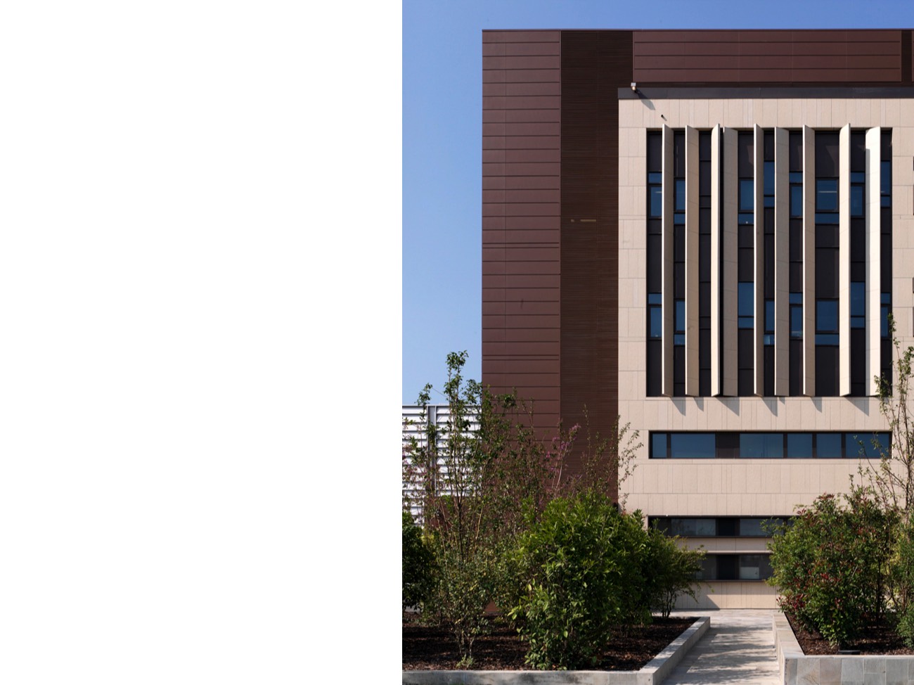 A short description about the picture goes here