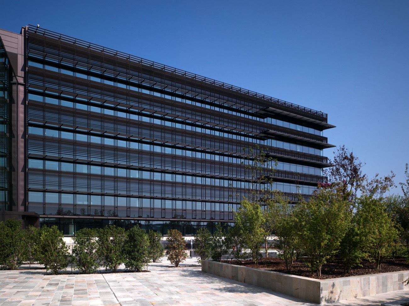 A short description about the picture goes here