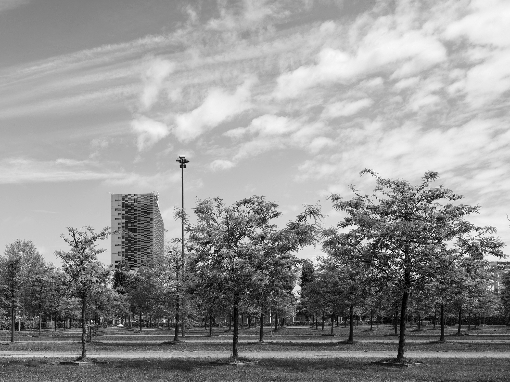 A short description about the picture goes here