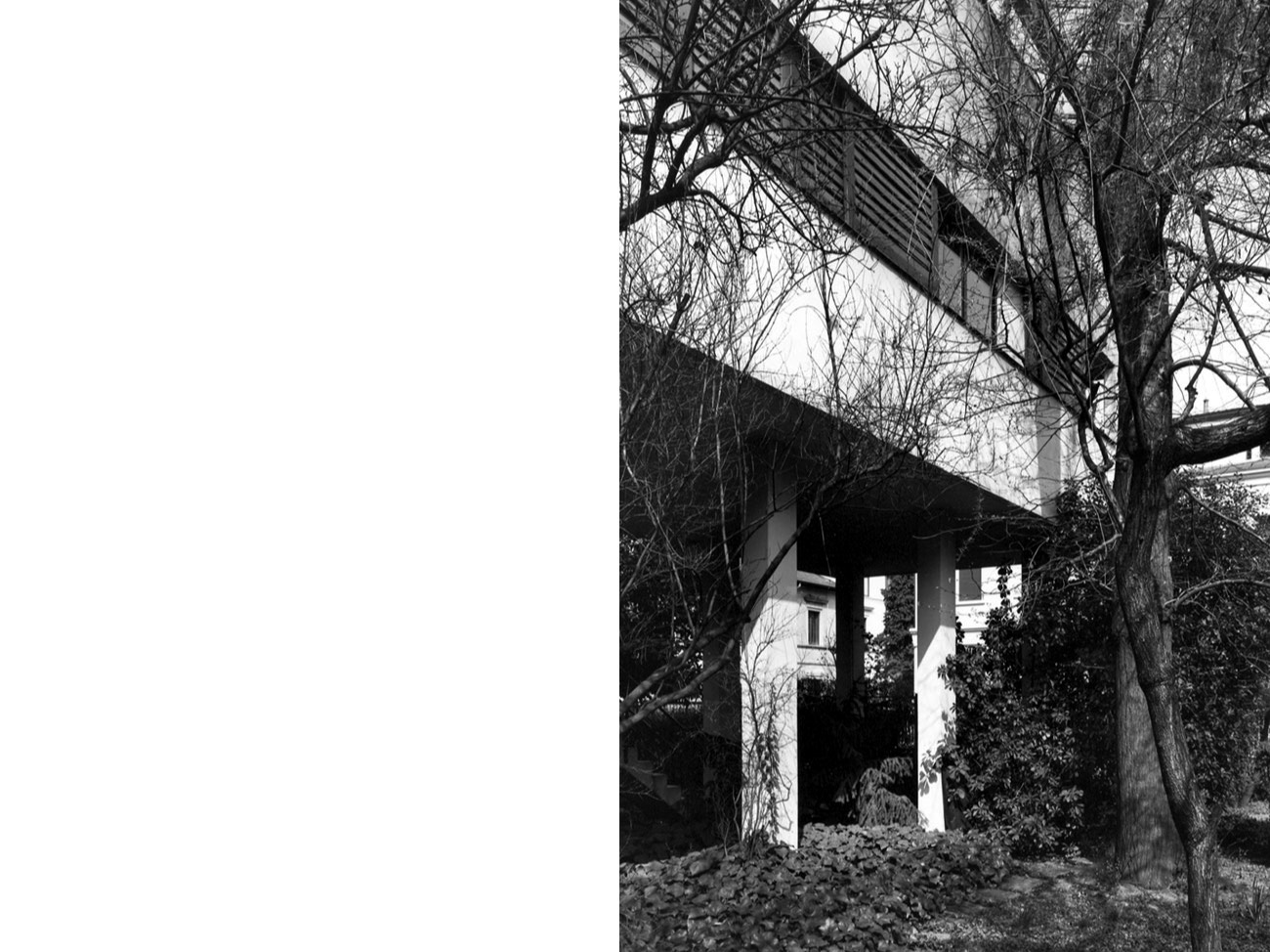 A short description about the picture goes here