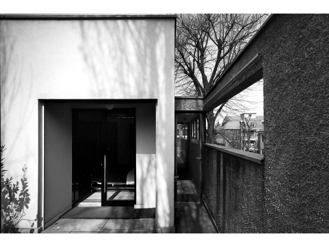 A short description about the picture goes here