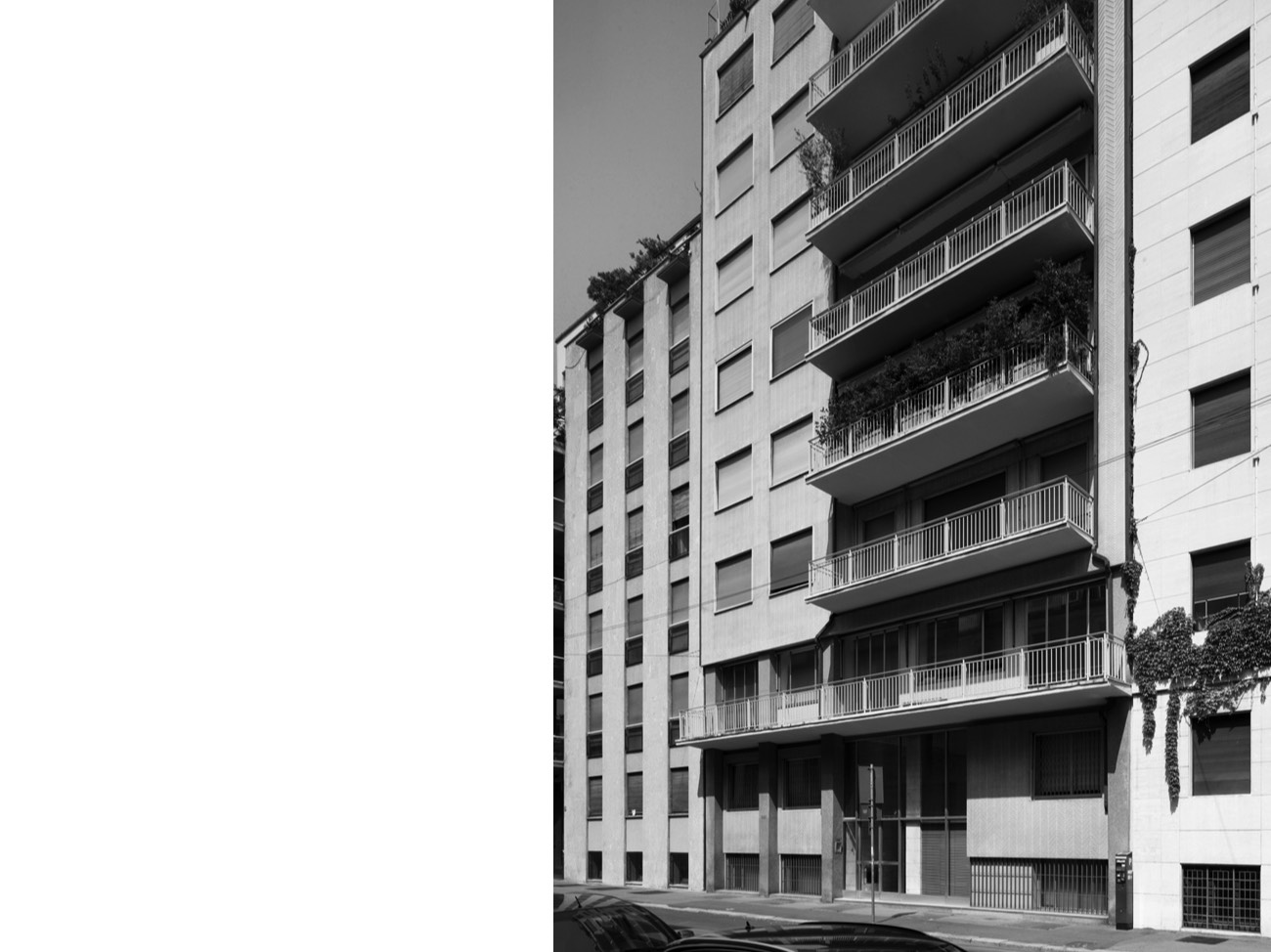 A short description about the picture goes here