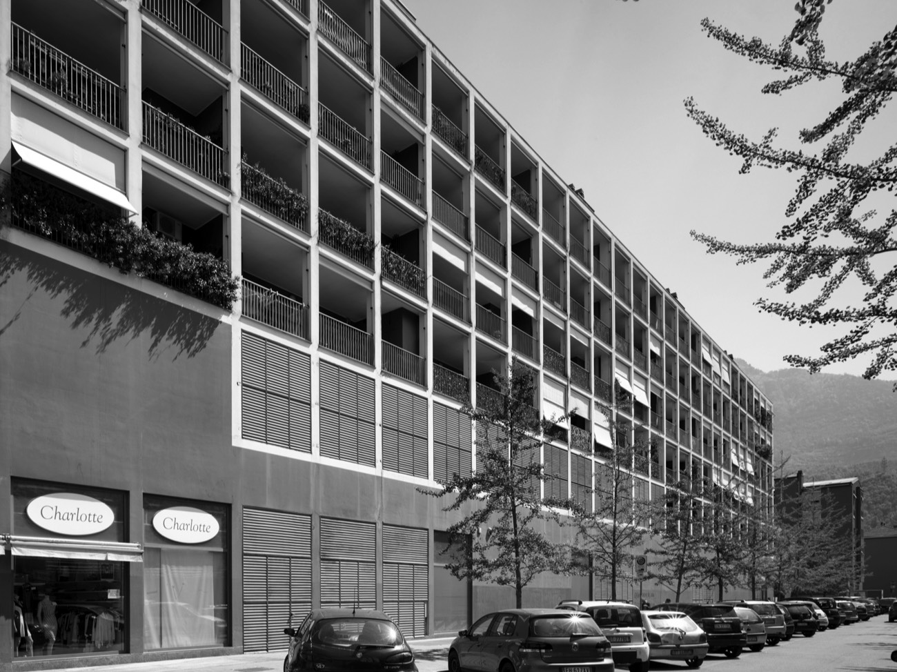 A short description about the picture goes here