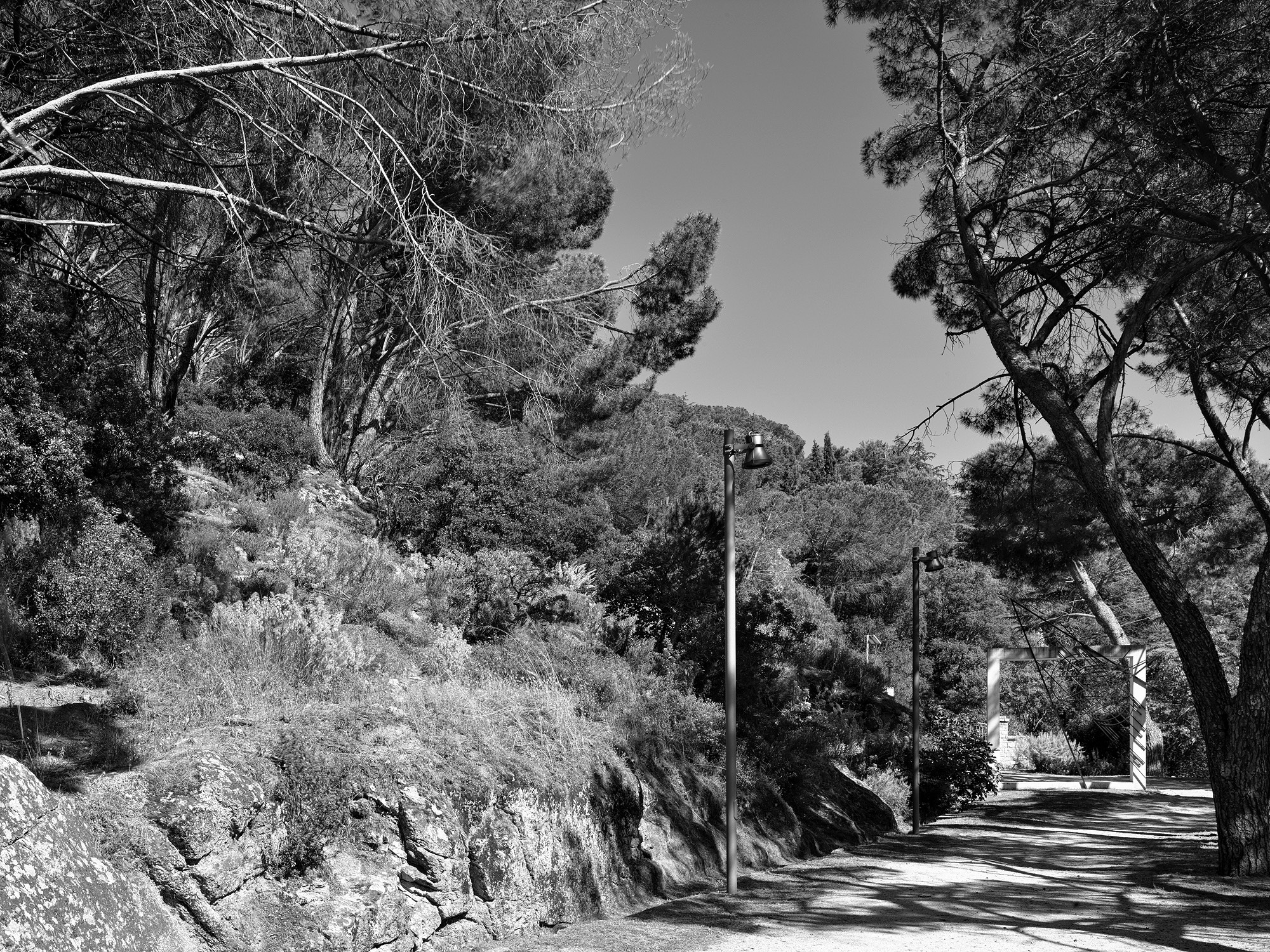 A short description about the picture goes here