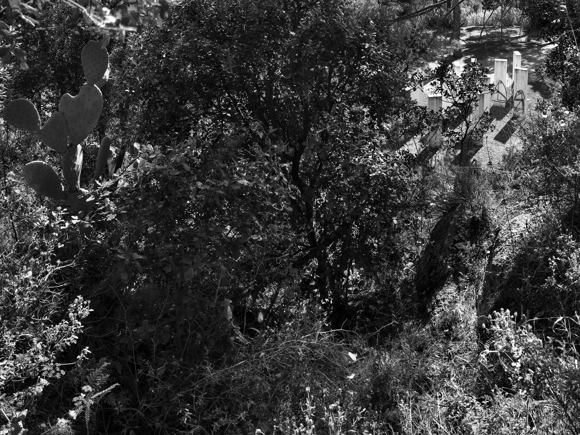 A short description about the picture goes here