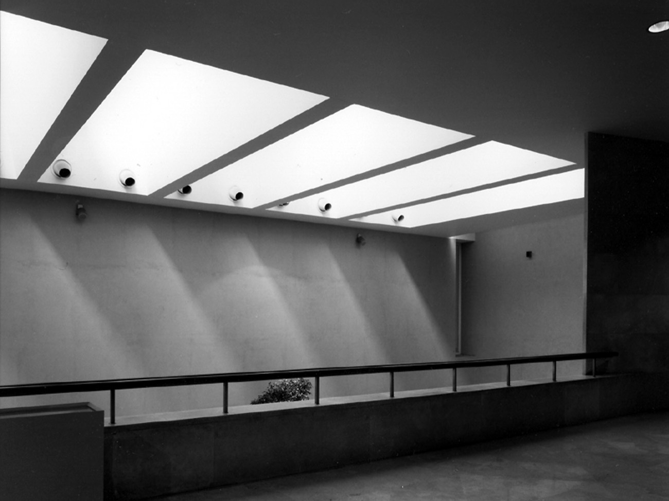 A short description about the picture goes here