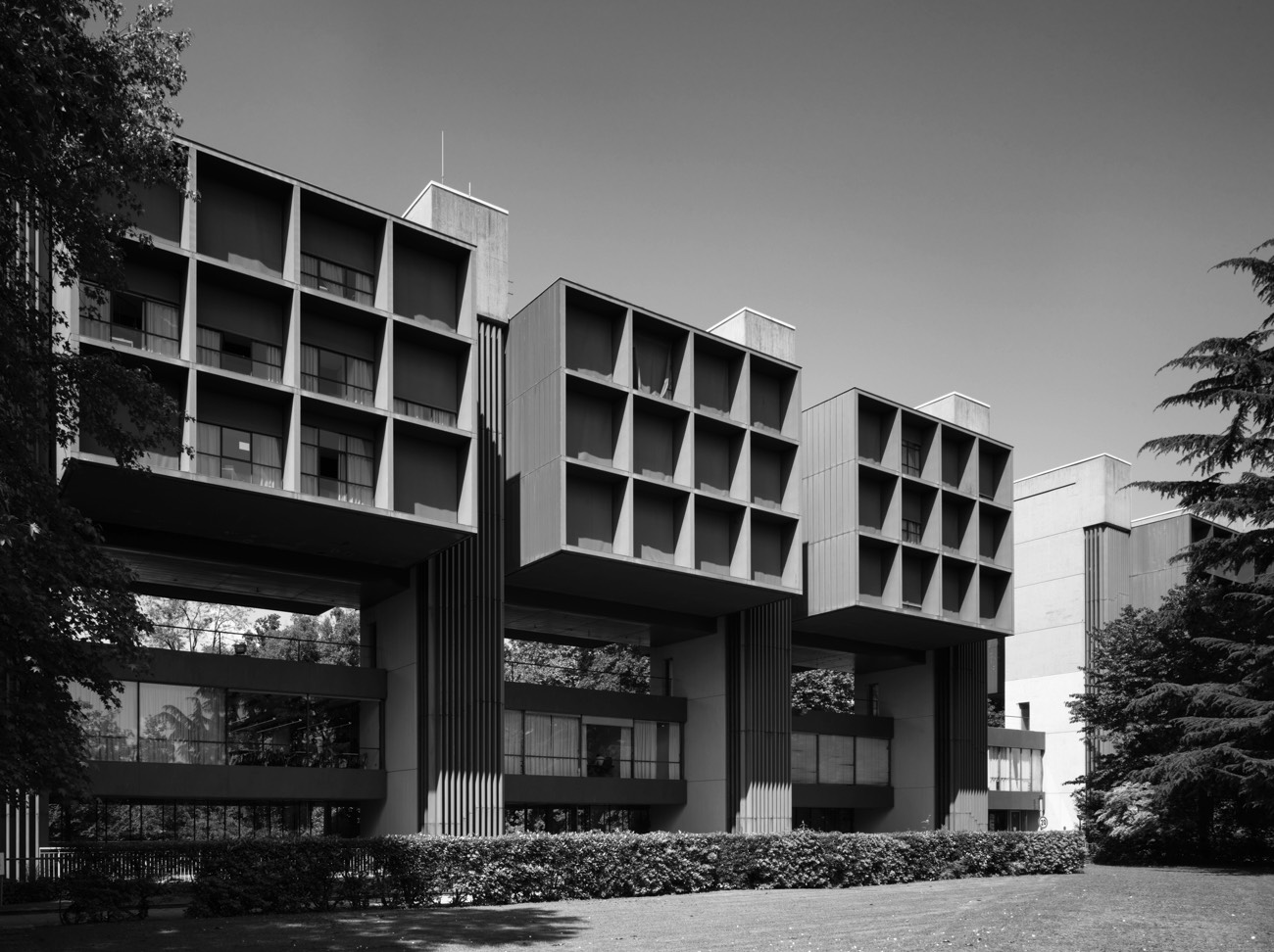 A short description about the picture goes here