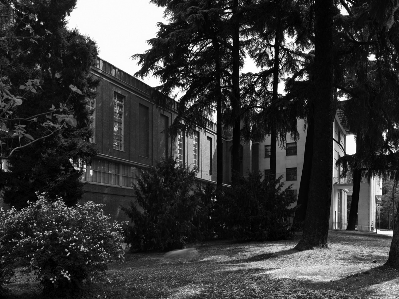 A short description about the picture goes here