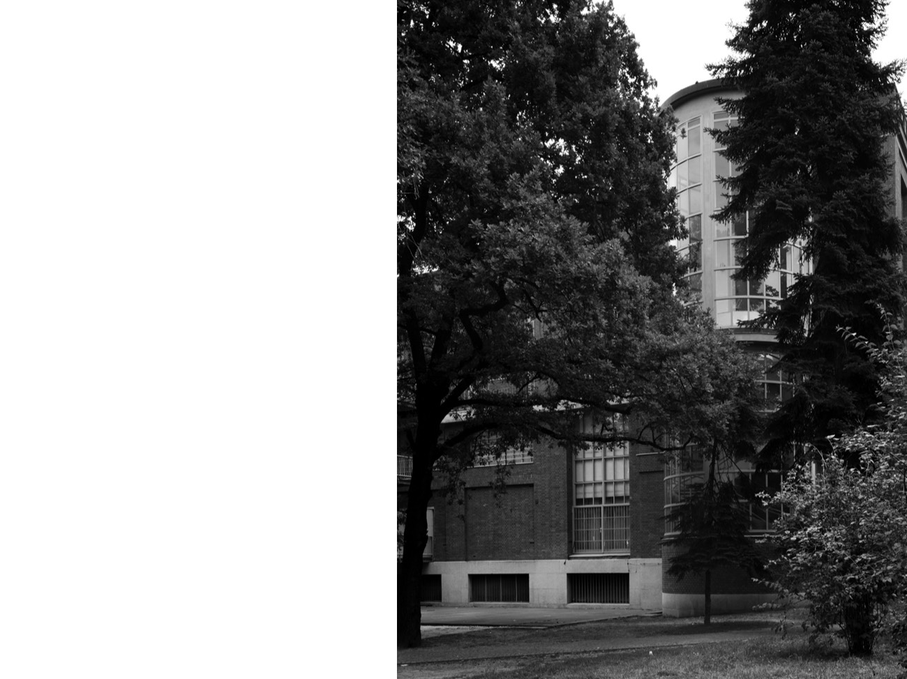 A short description about the picture goes here