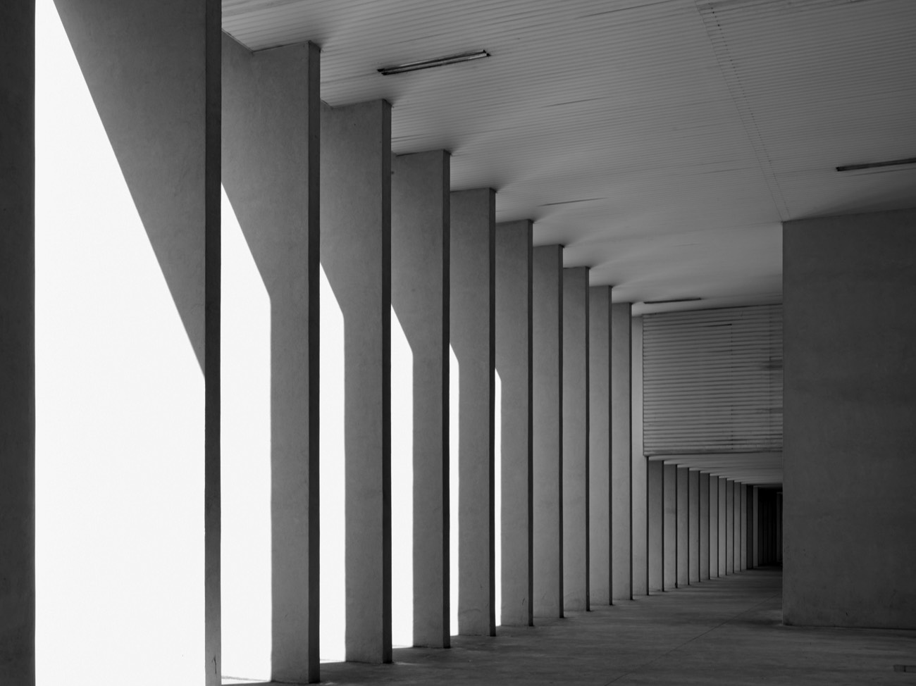 A short description about the picture goes here