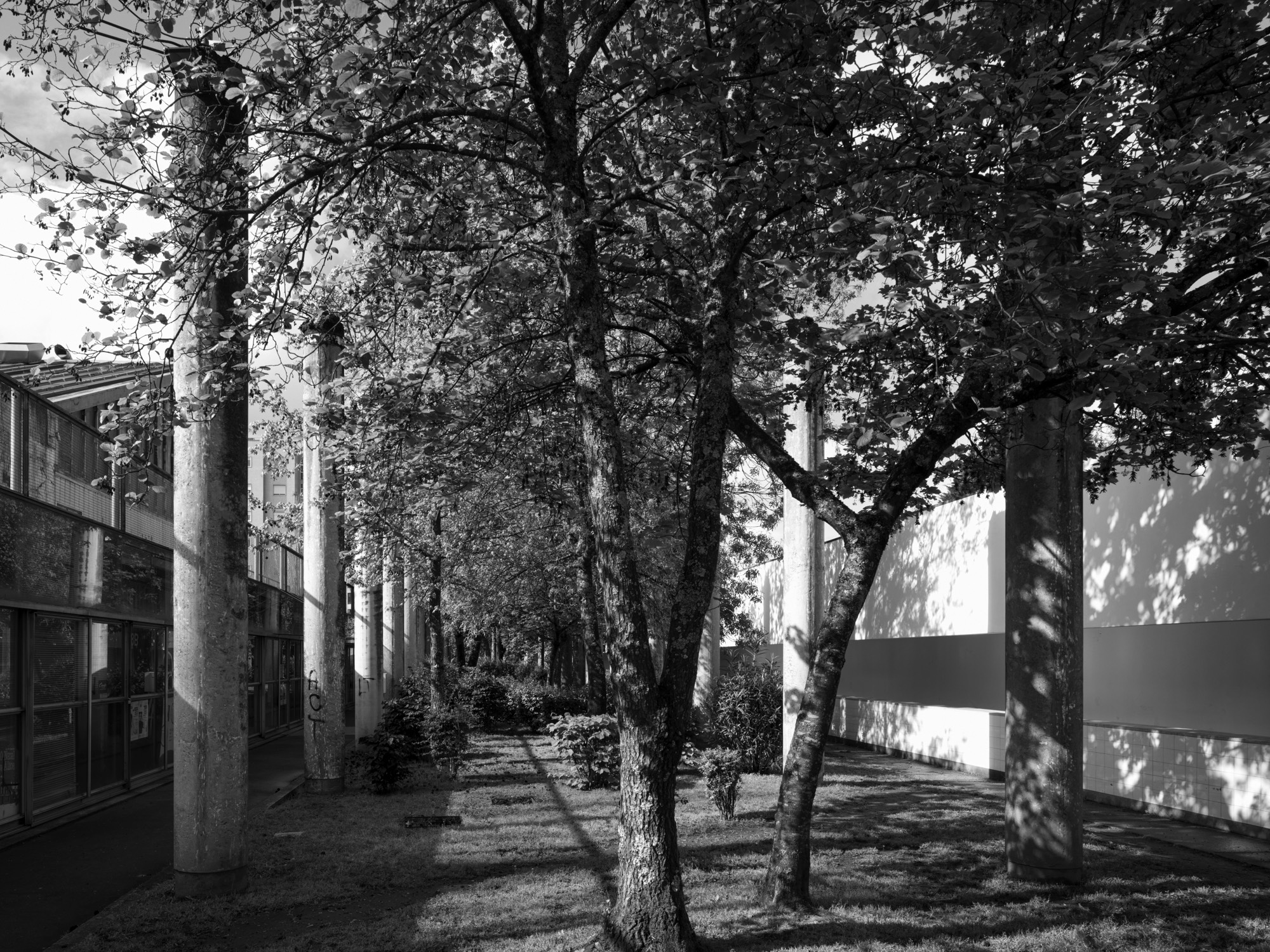 A short description about the picture goes here