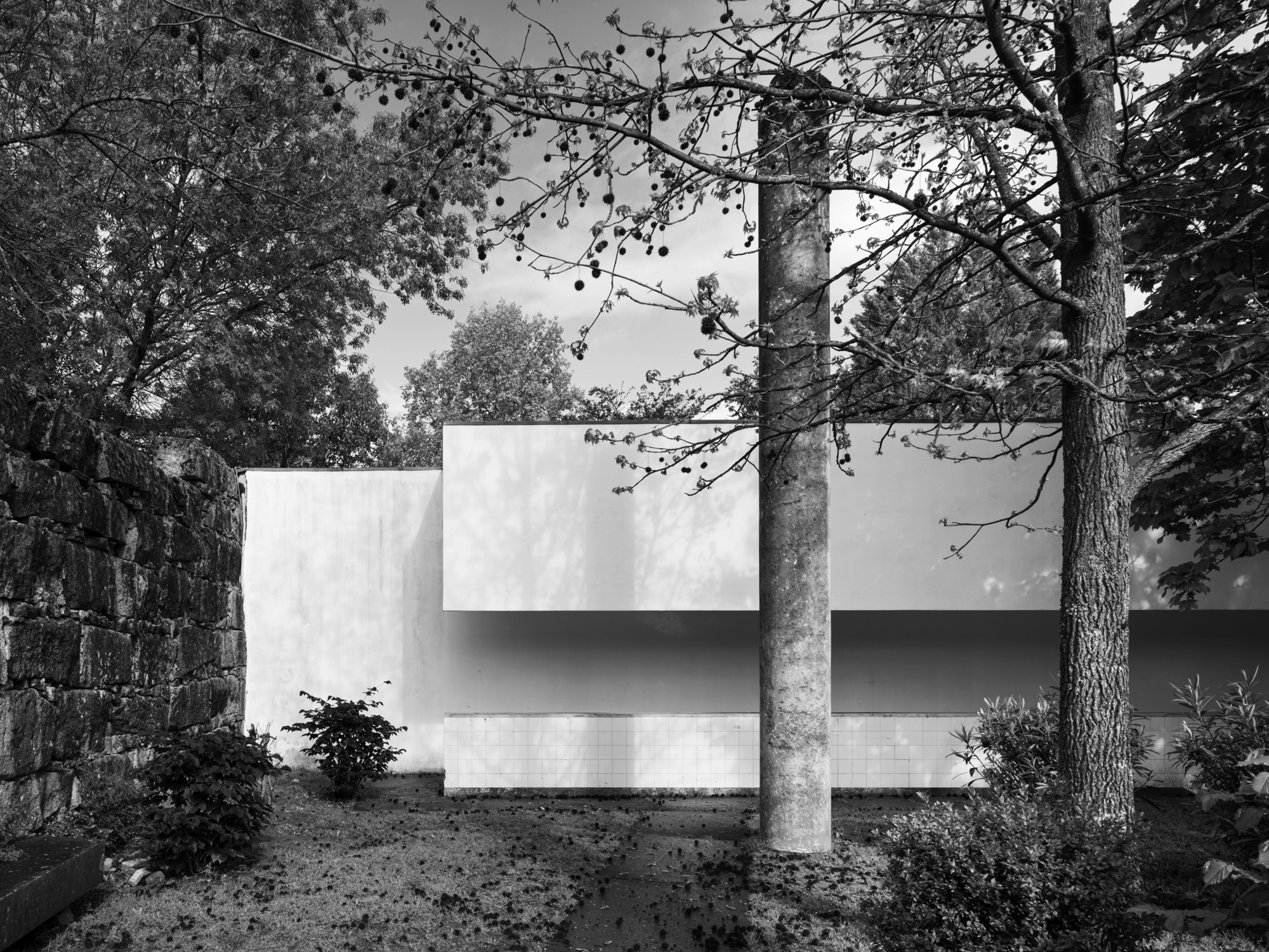 A short description about the picture goes here