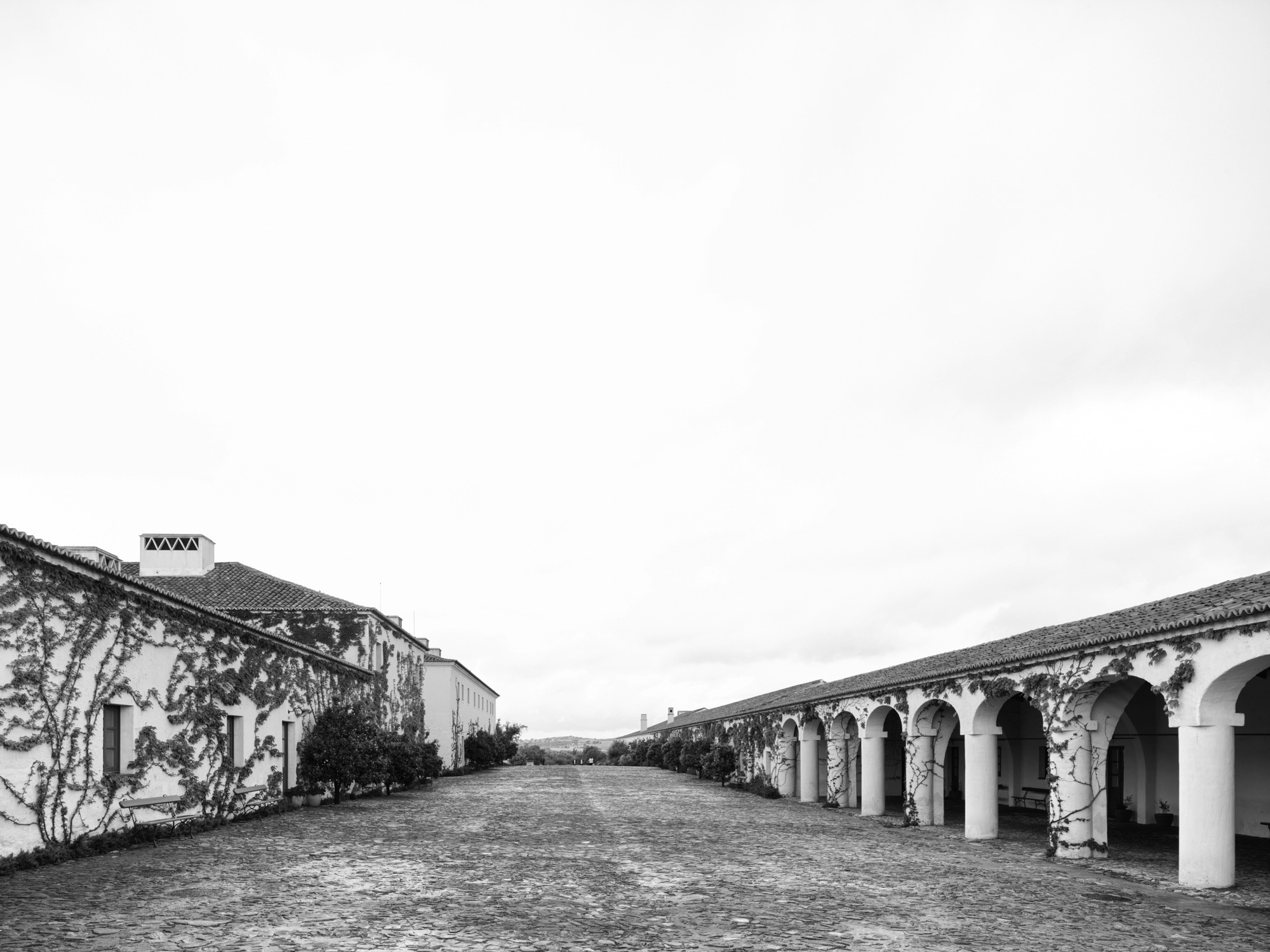 A short description about the picture goes here