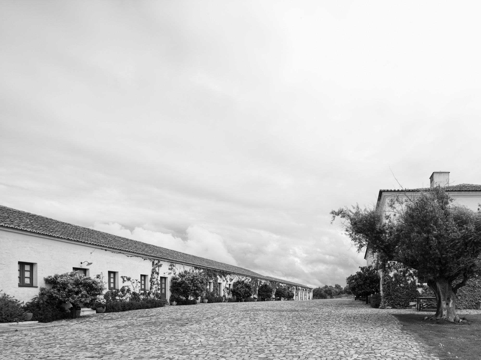 A short description about the picture goes here