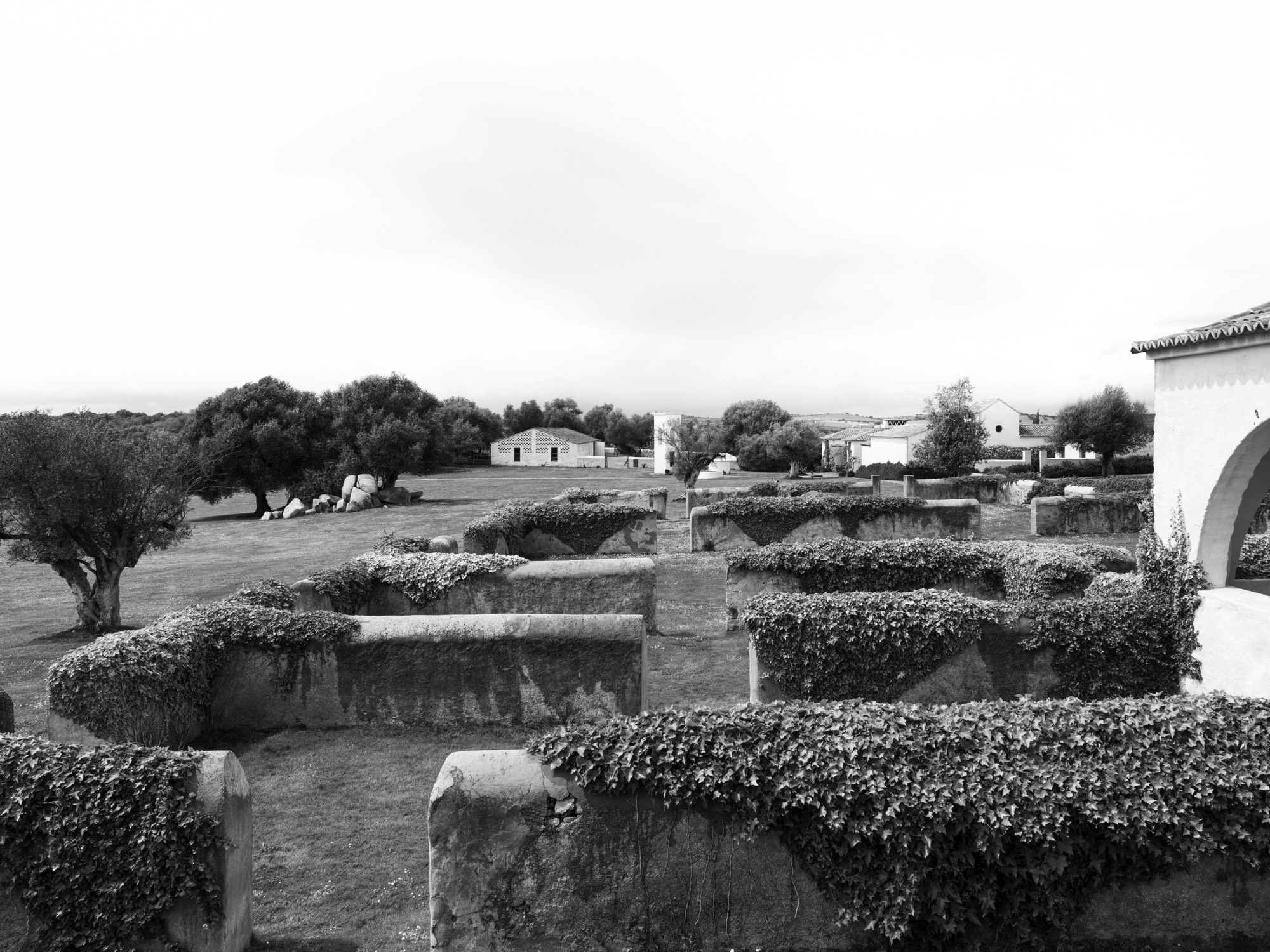 A short description about the picture goes here