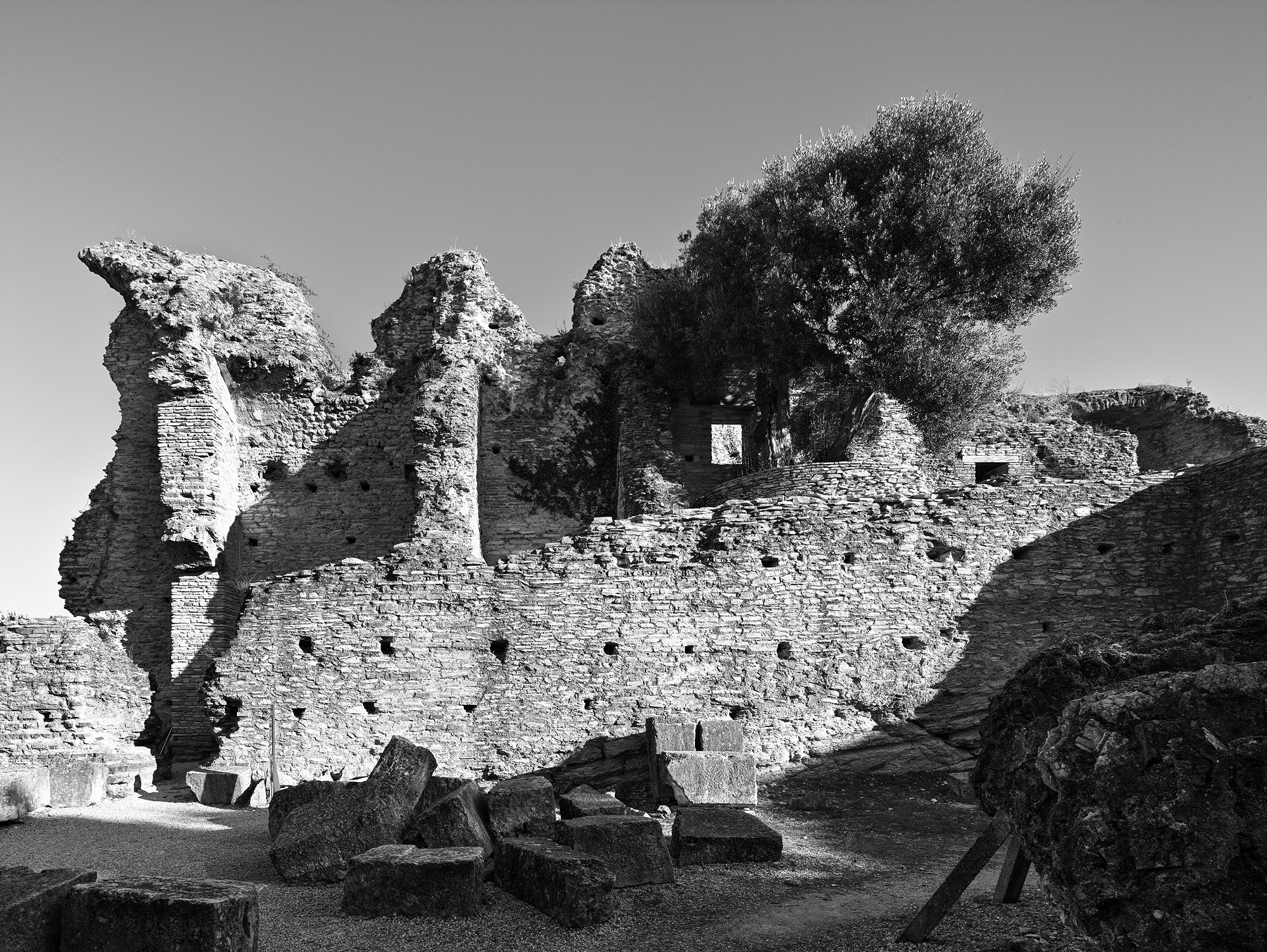 A short description about the picture goes here