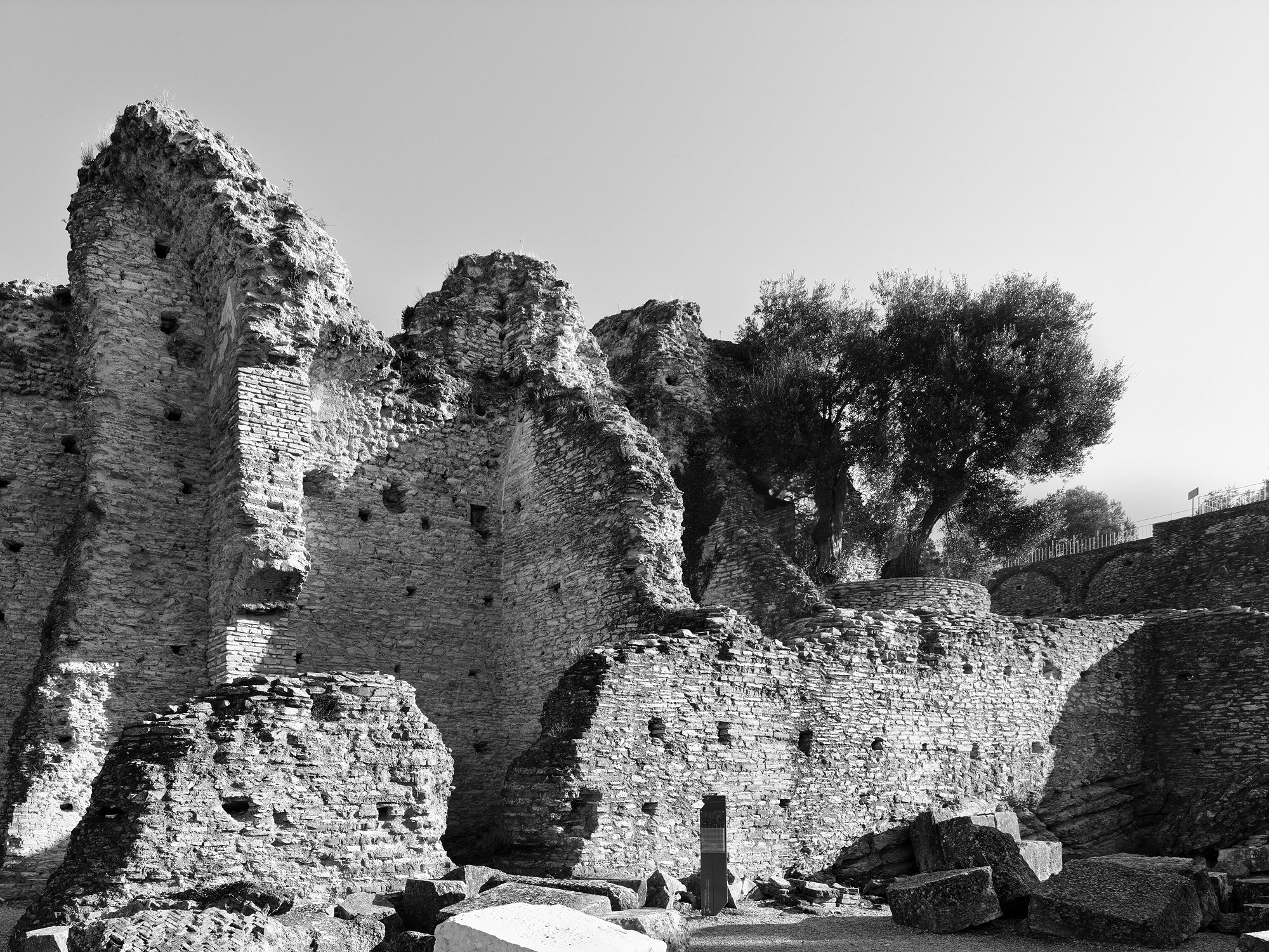 A short description about the picture goes here