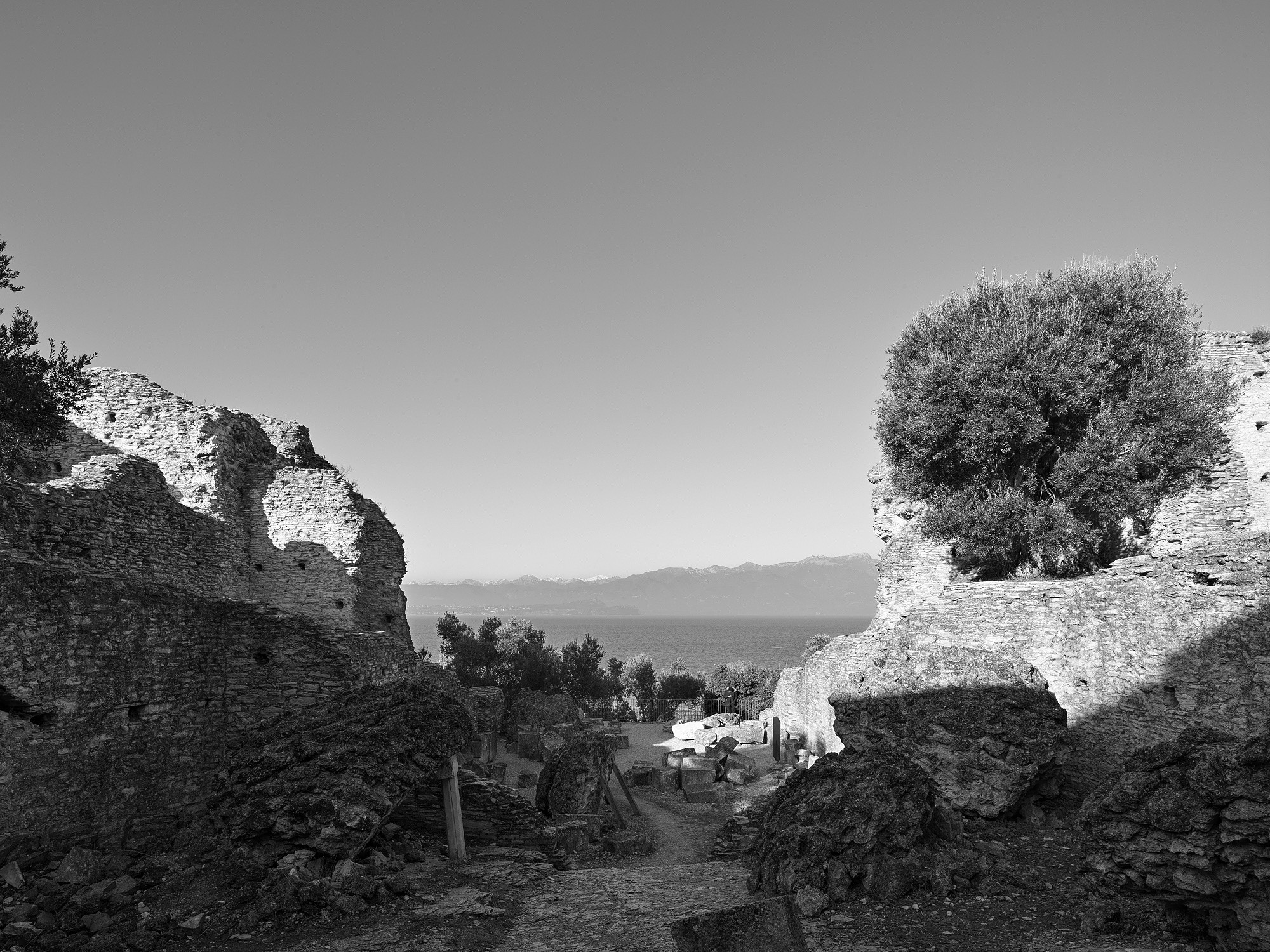 A short description about the picture goes here