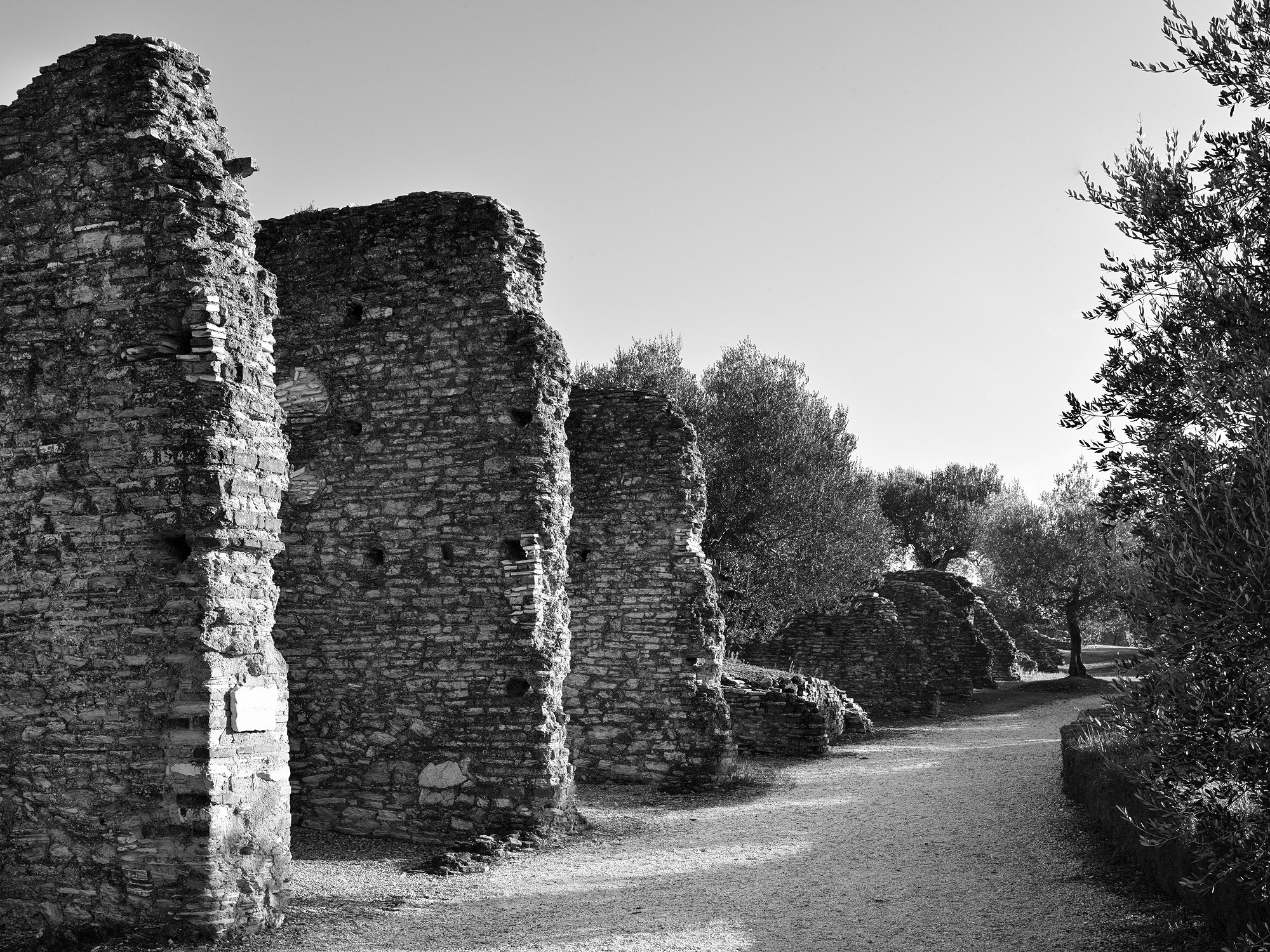 A short description about the picture goes here