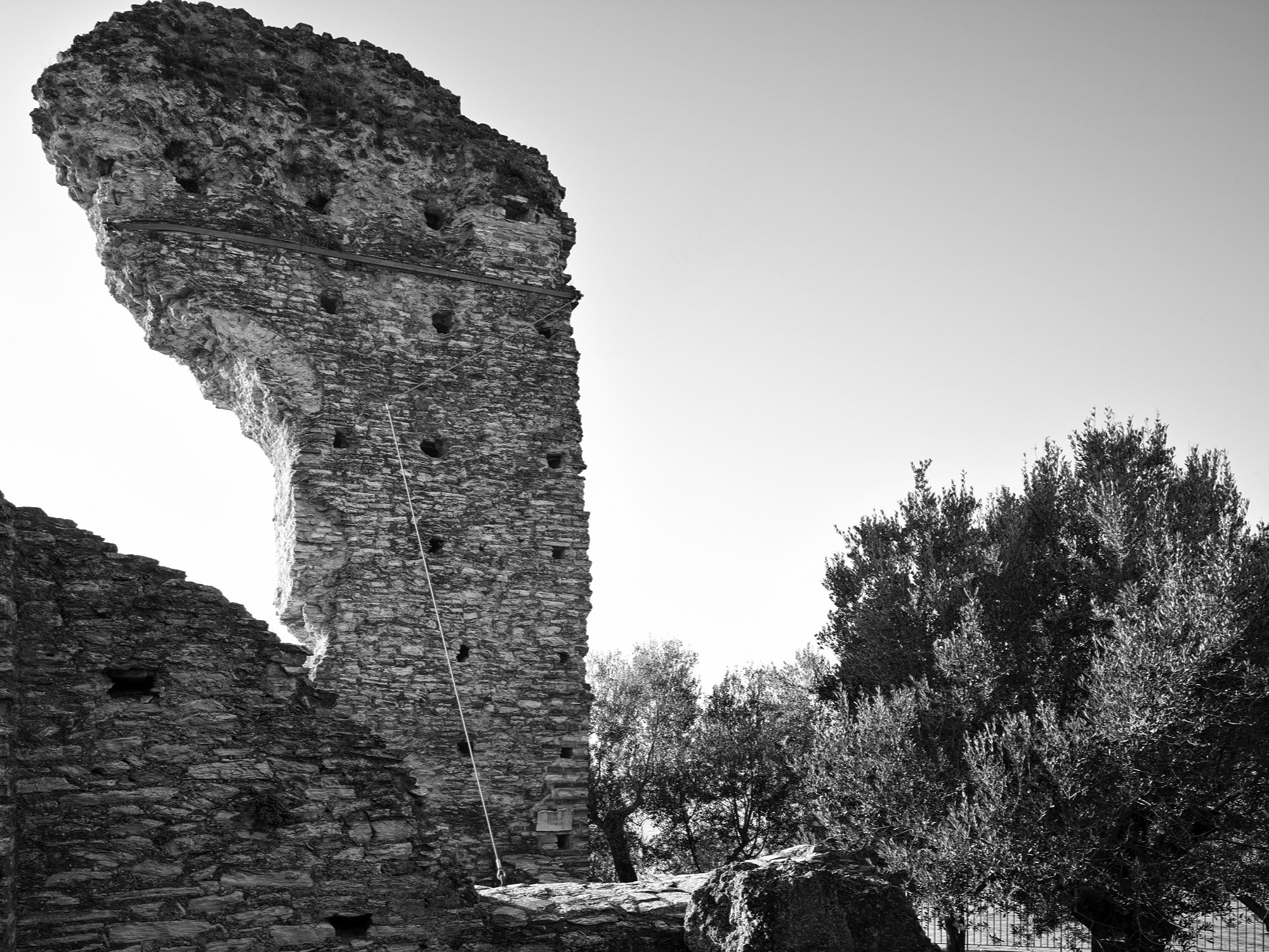 A short description about the picture goes here