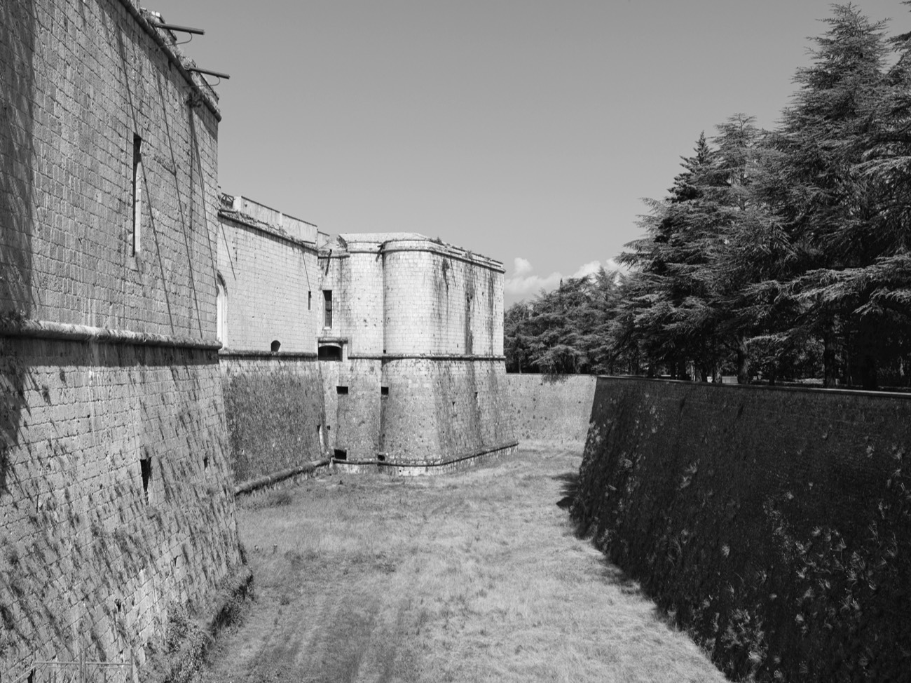 A short description about the picture goes here