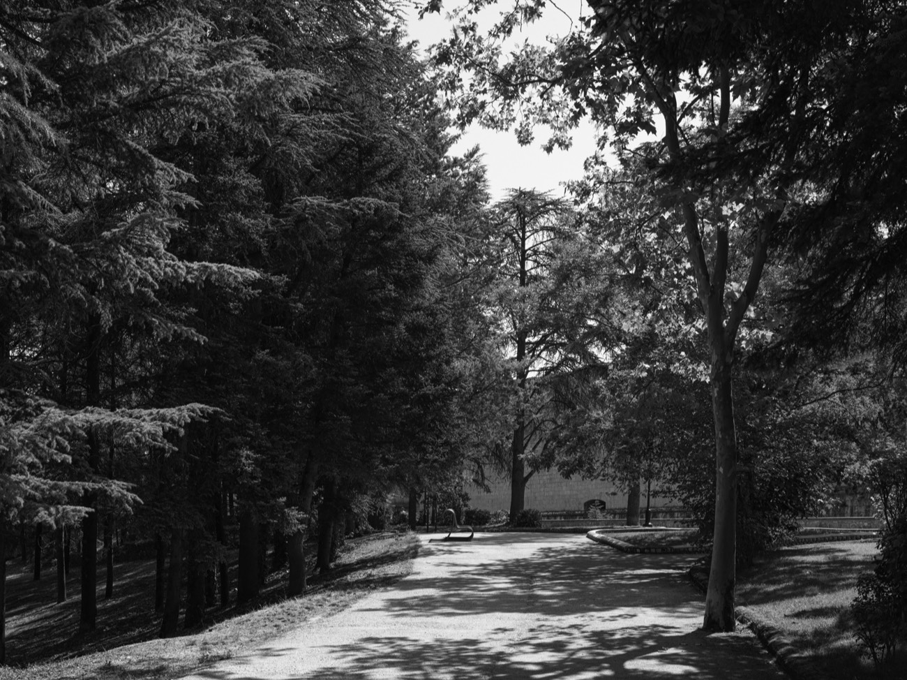 A short description about the picture goes here