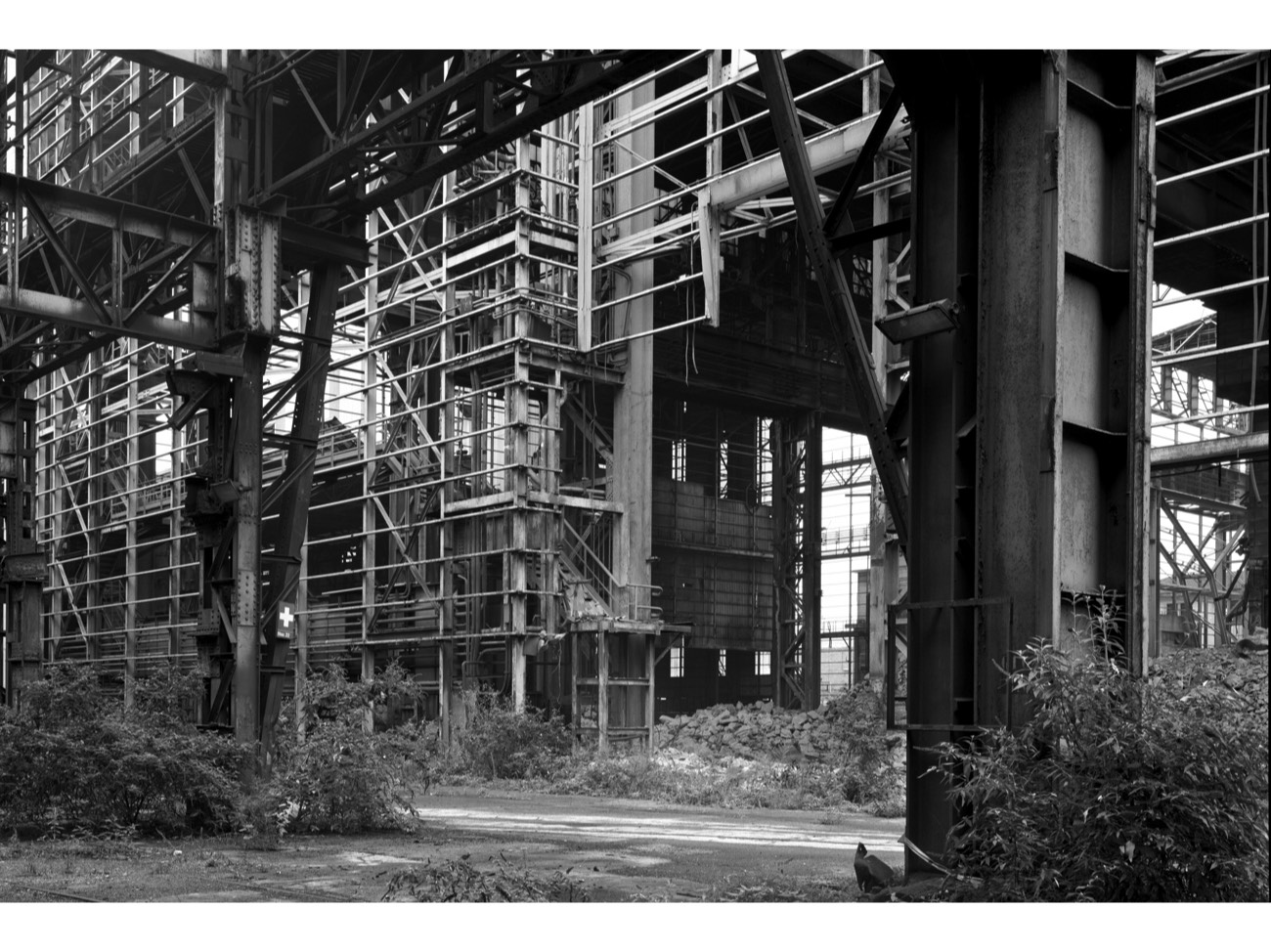 A short description about the picture goes here