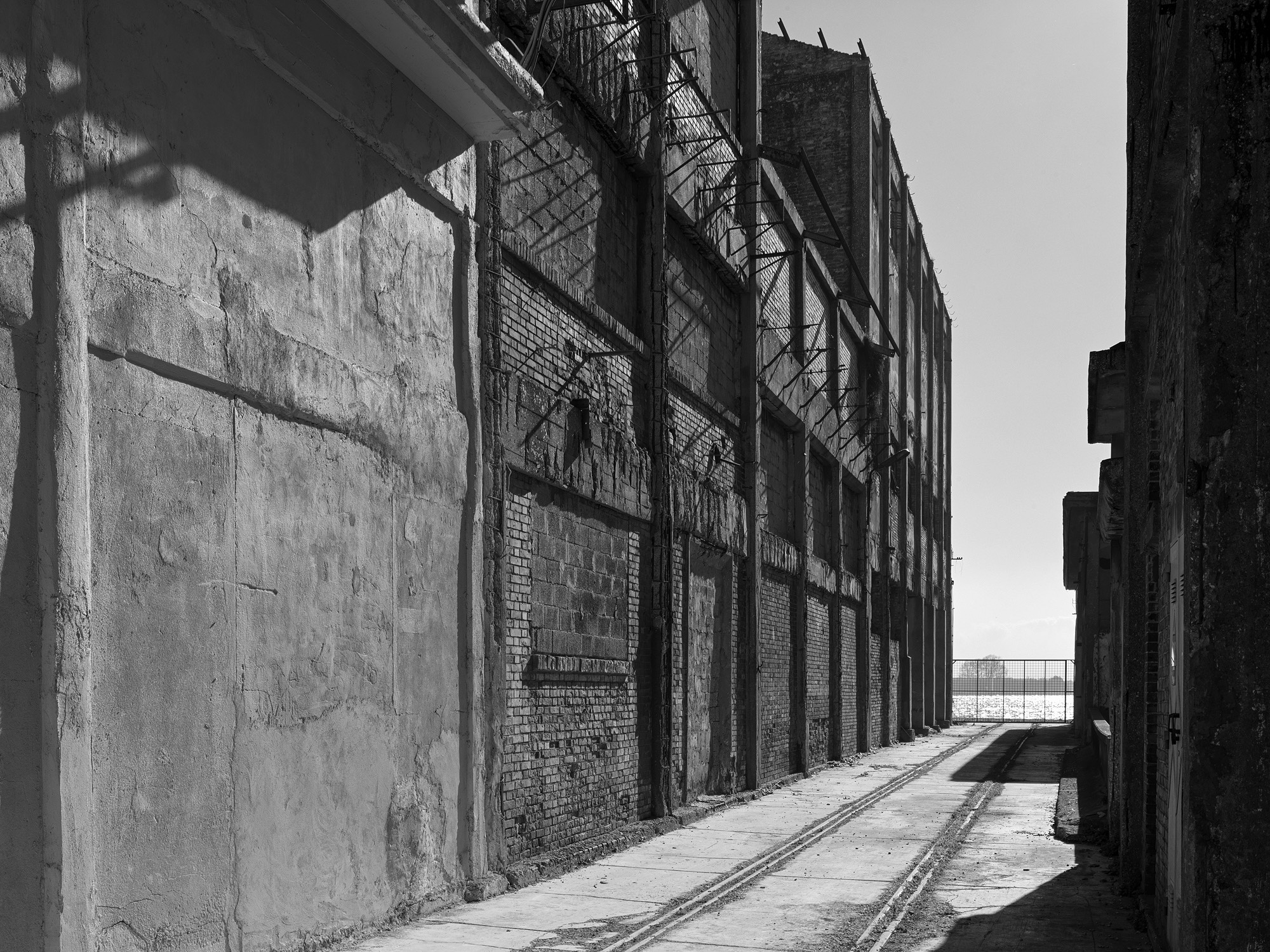 A short description about the picture goes here