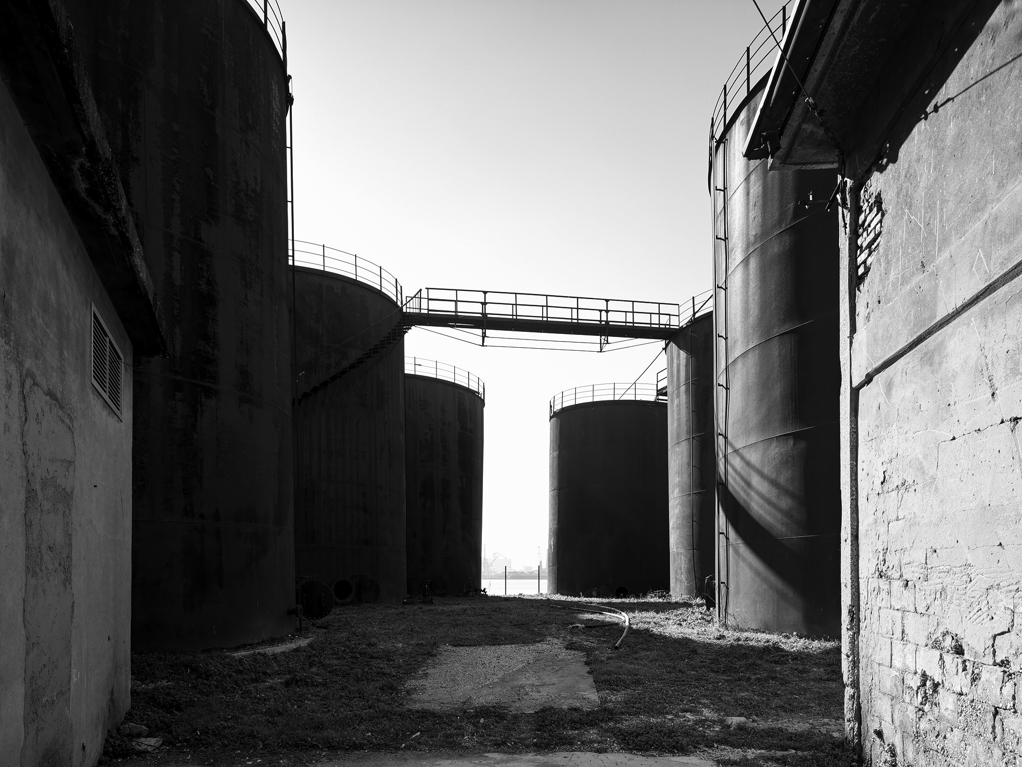 A short description about the picture goes here