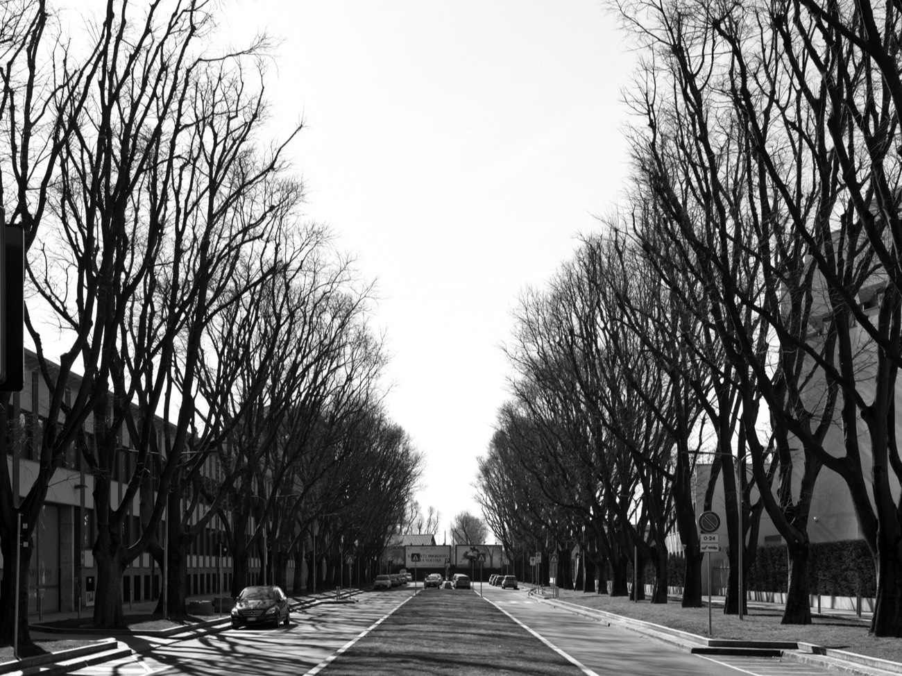 A short description about the picture goes here