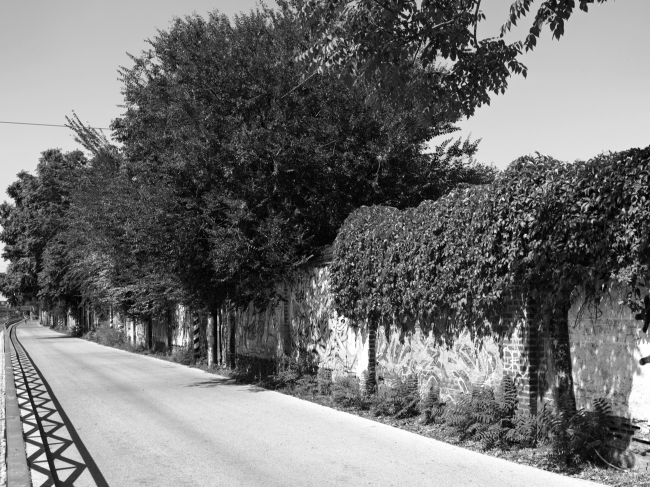 A short description about the picture goes here