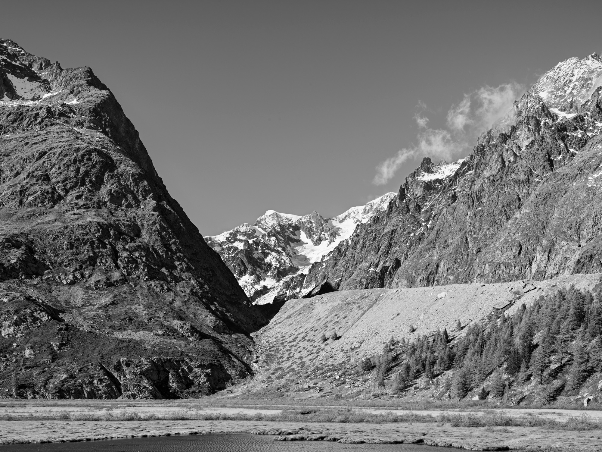 A short description about the picture goes here