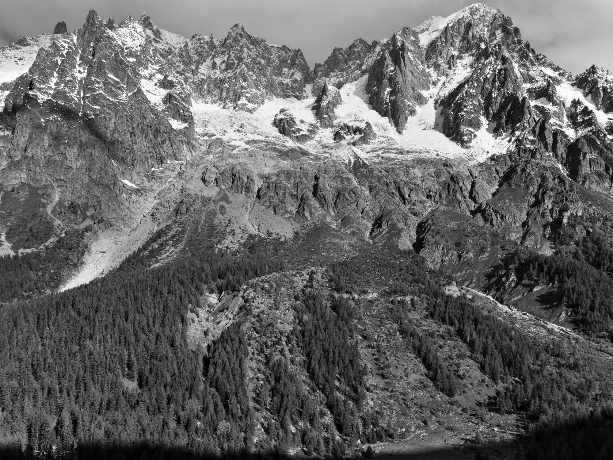 A short description about the picture goes here