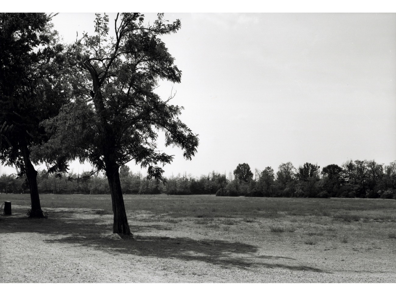 A short description about the picture goes here