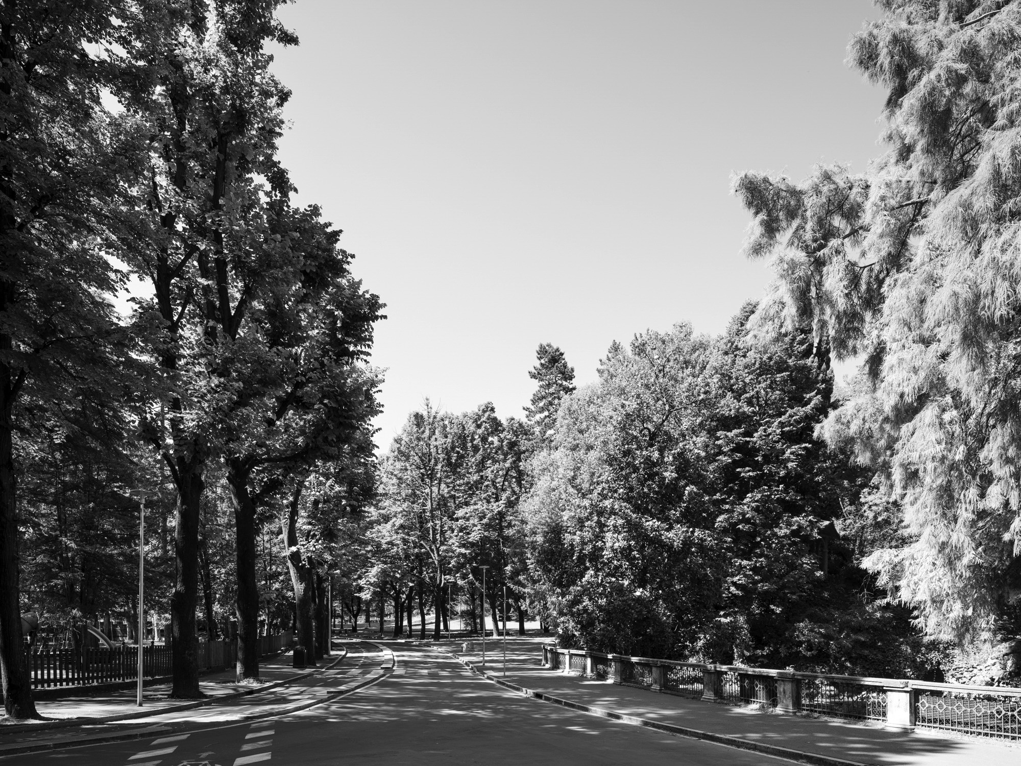 A short description about the picture goes here