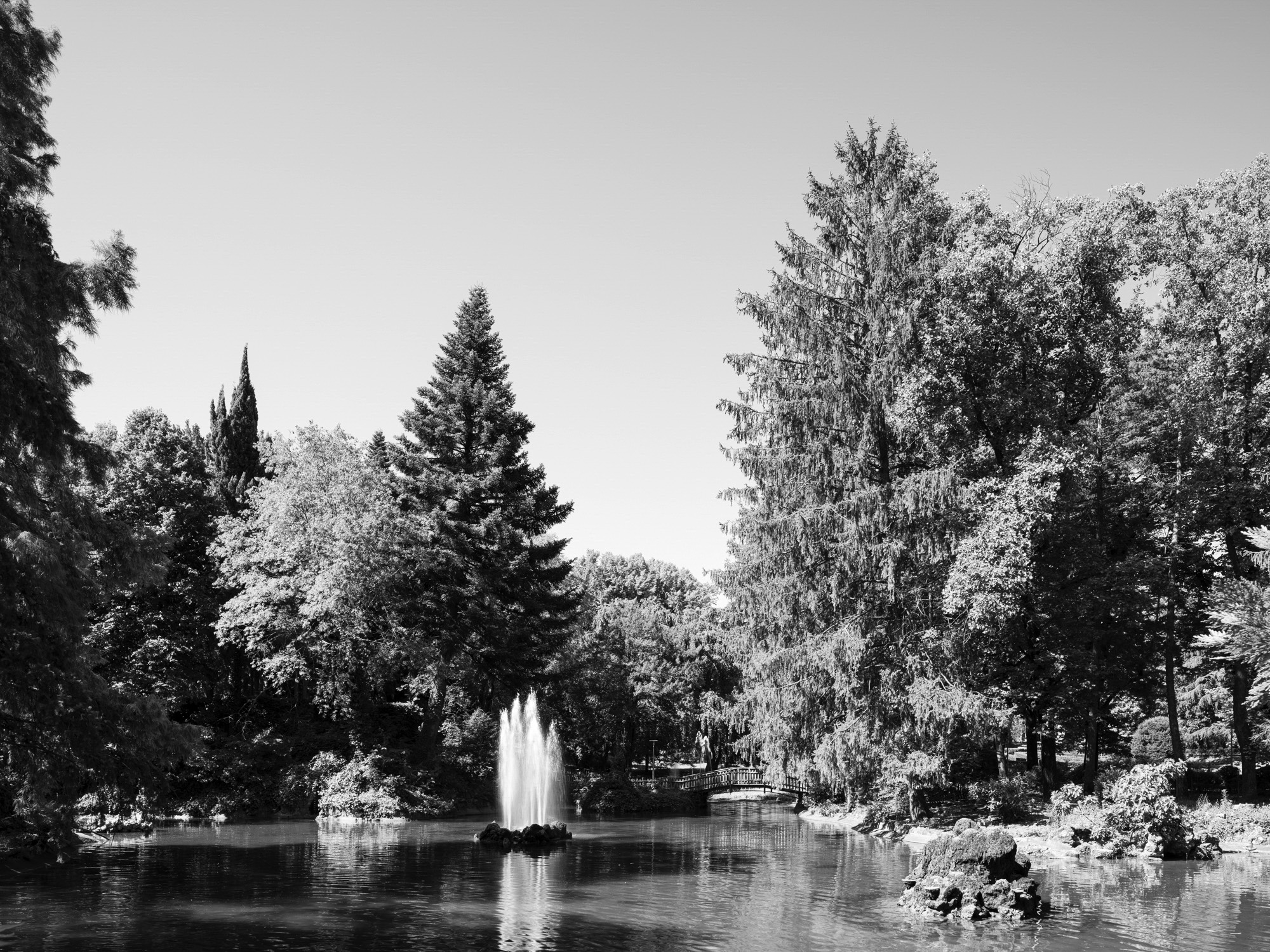 A short description about the picture goes here