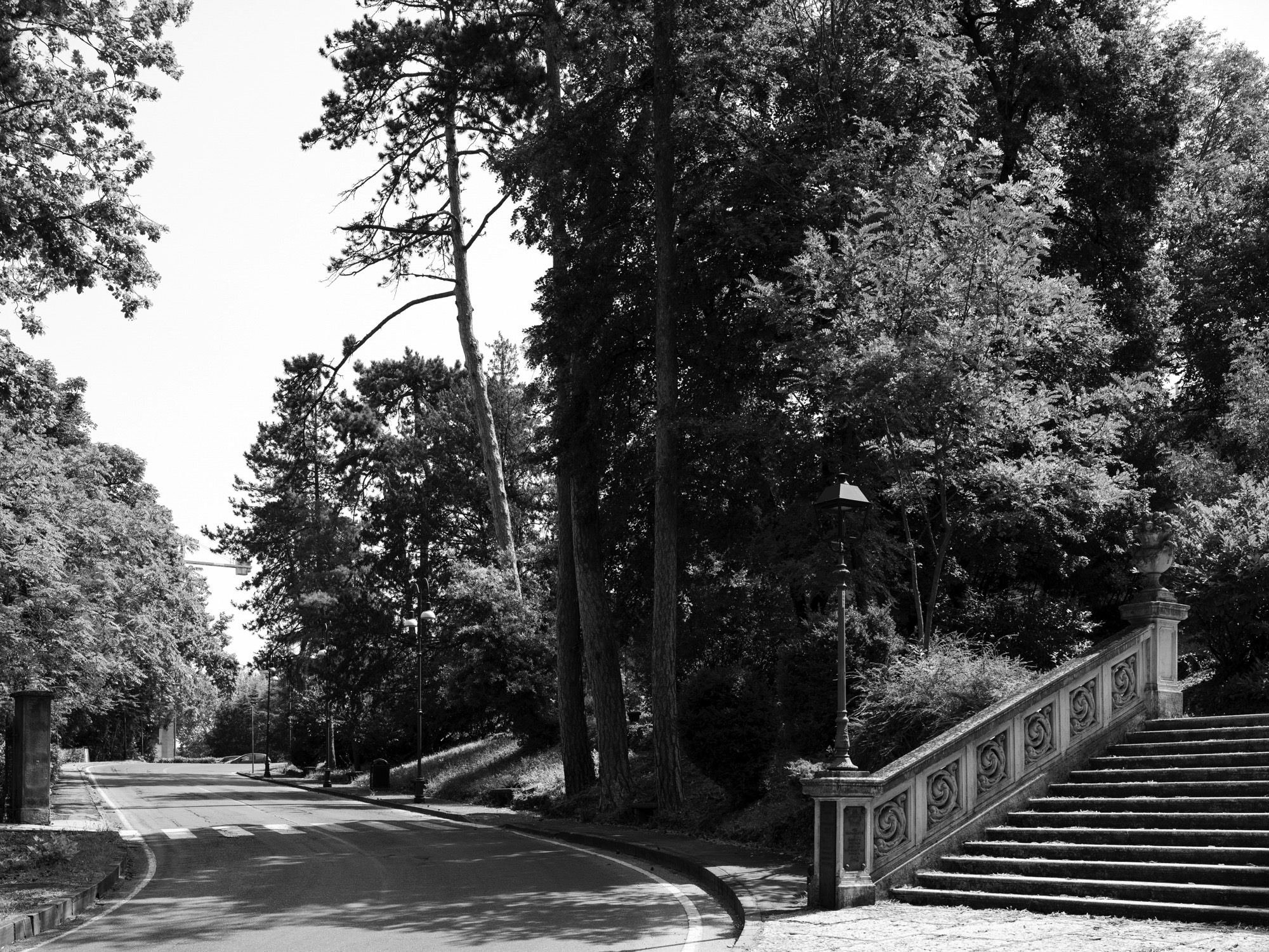 A short description about the picture goes here