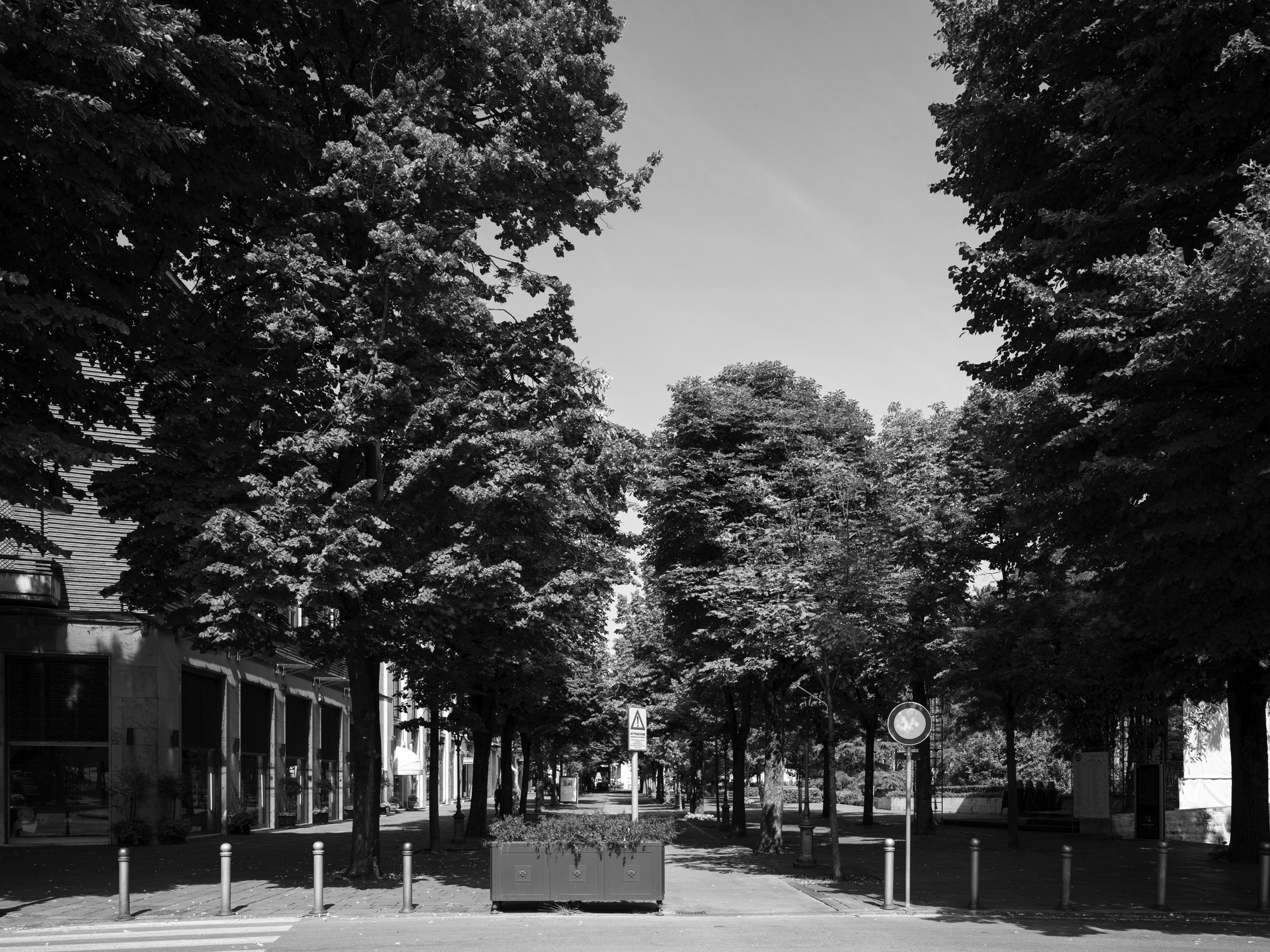 A short description about the picture goes here