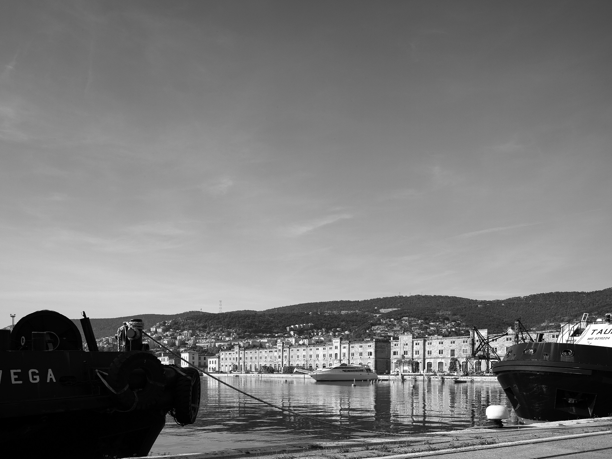 A short description about the picture goes here