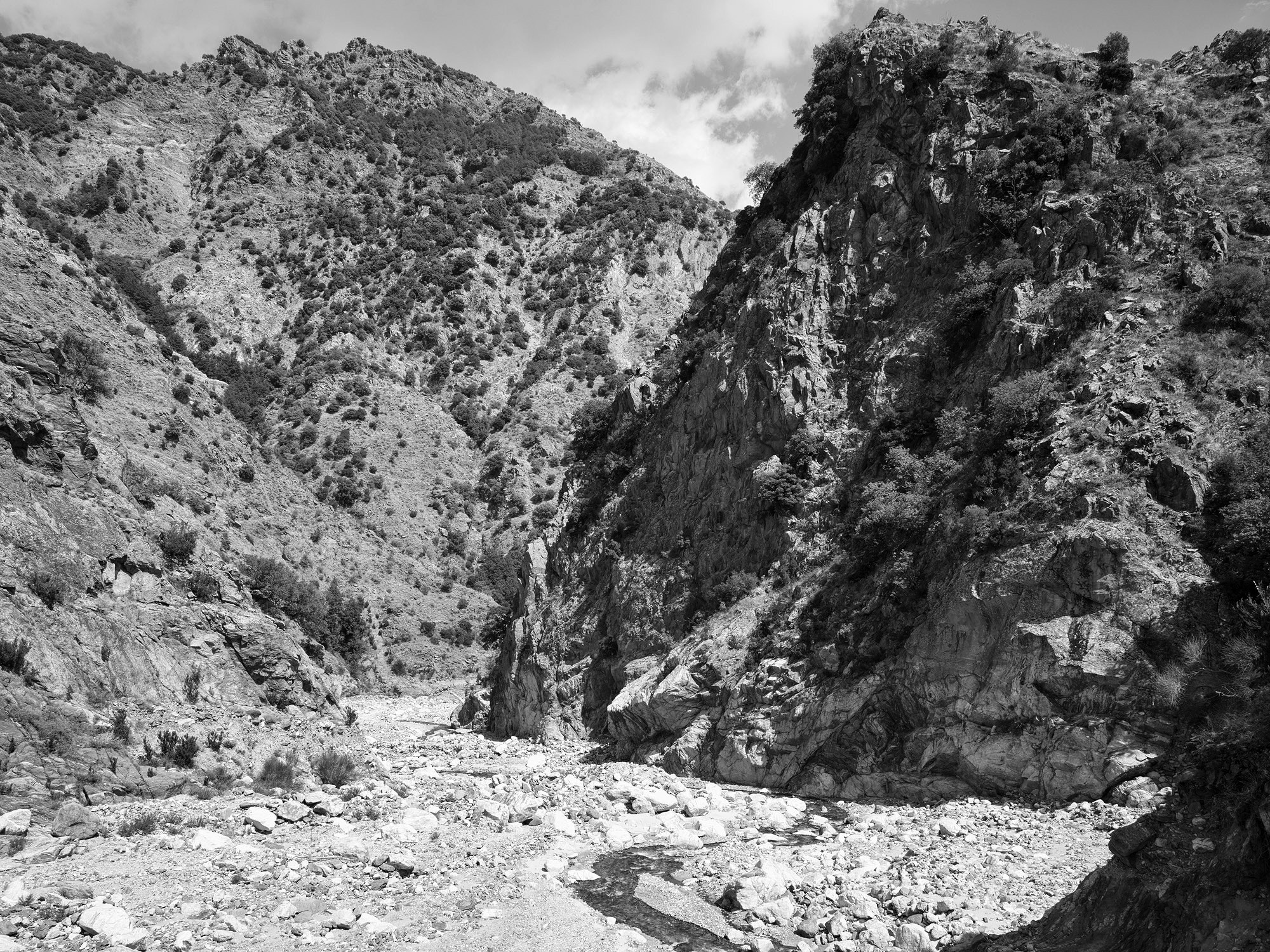 A short description about the picture goes here