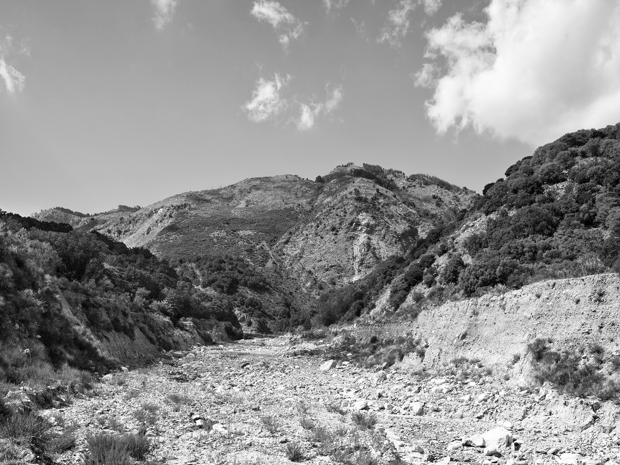 A short description about the picture goes here