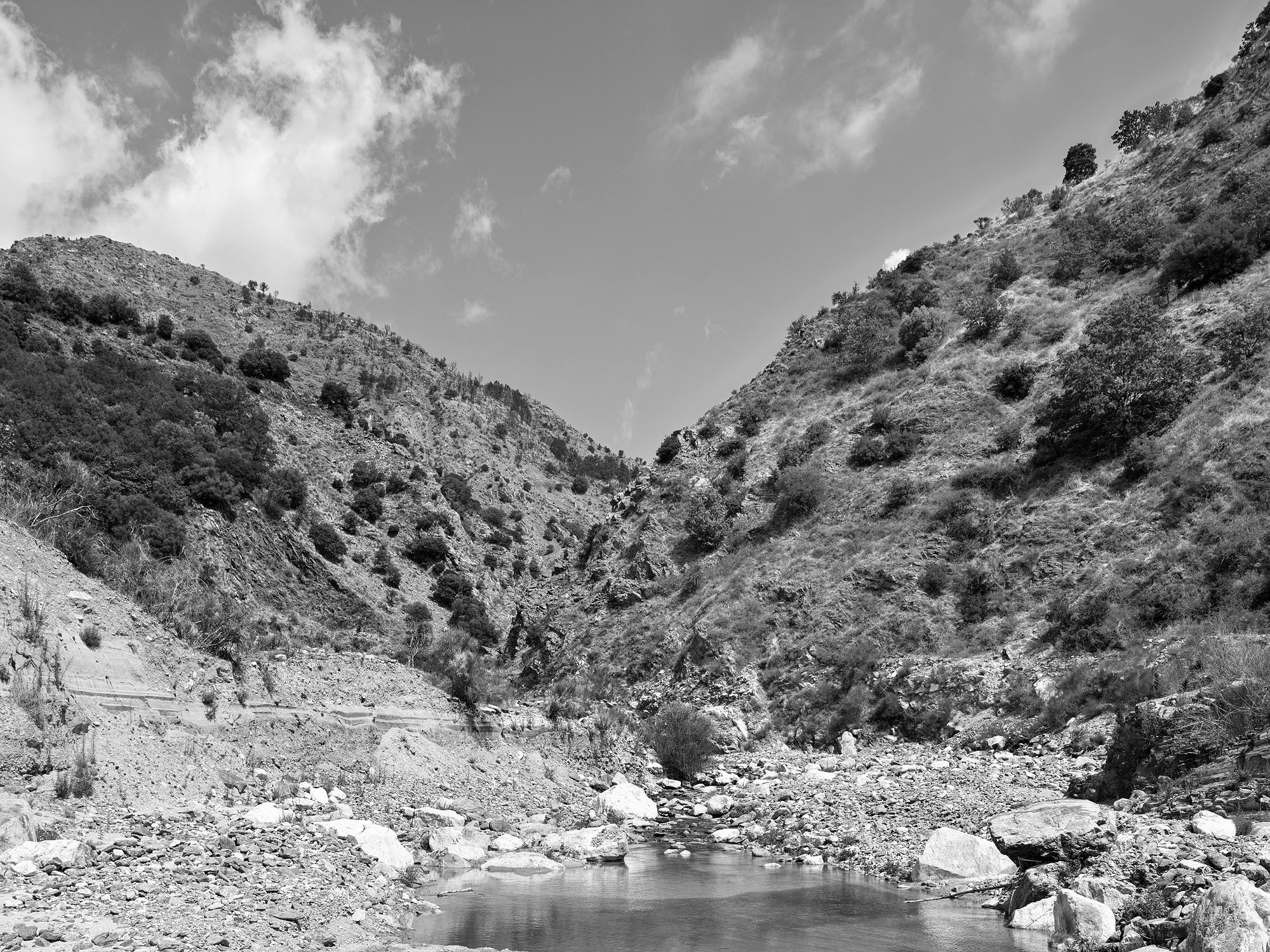 A short description about the picture goes here