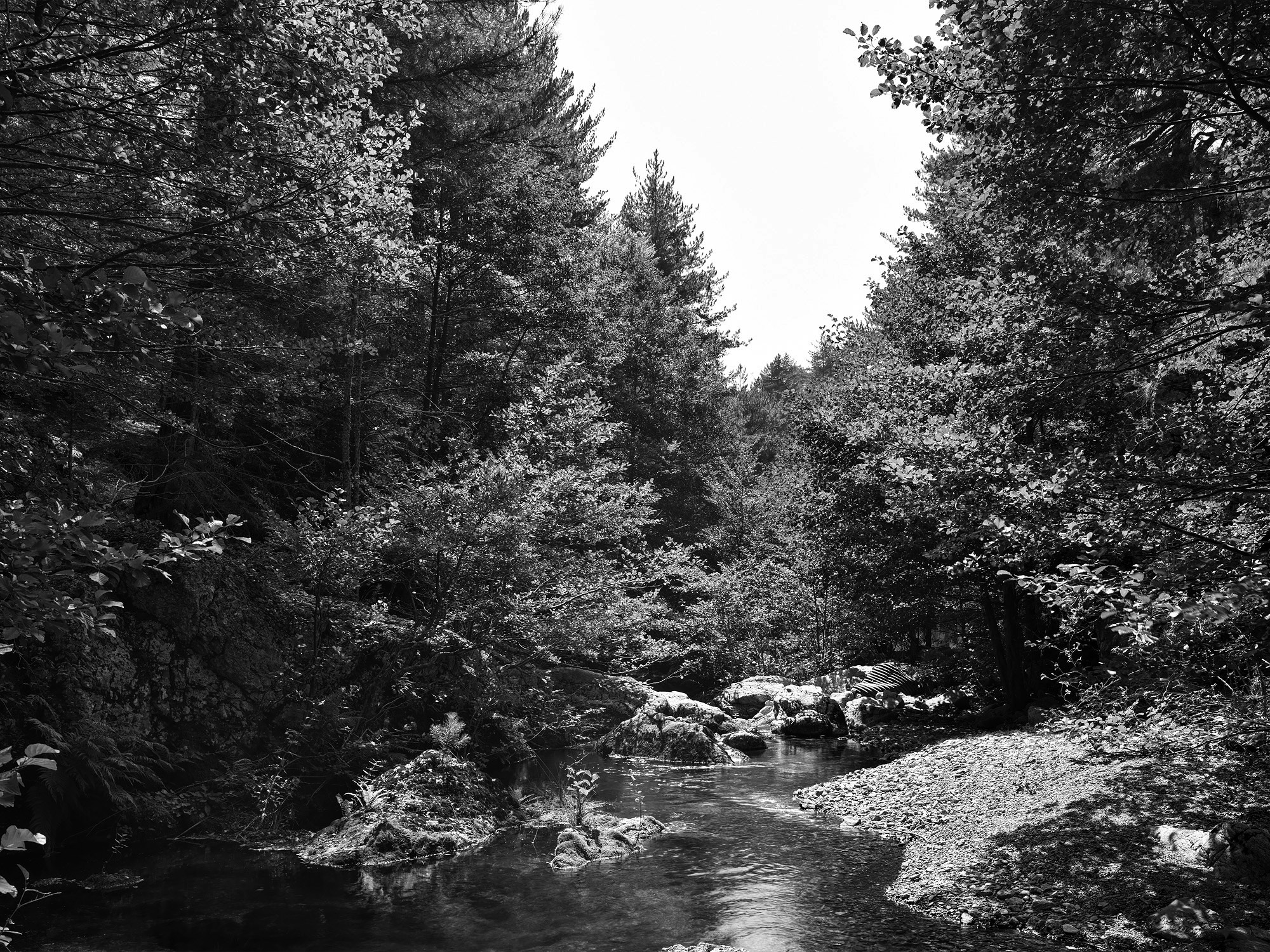 A short description about the picture goes here