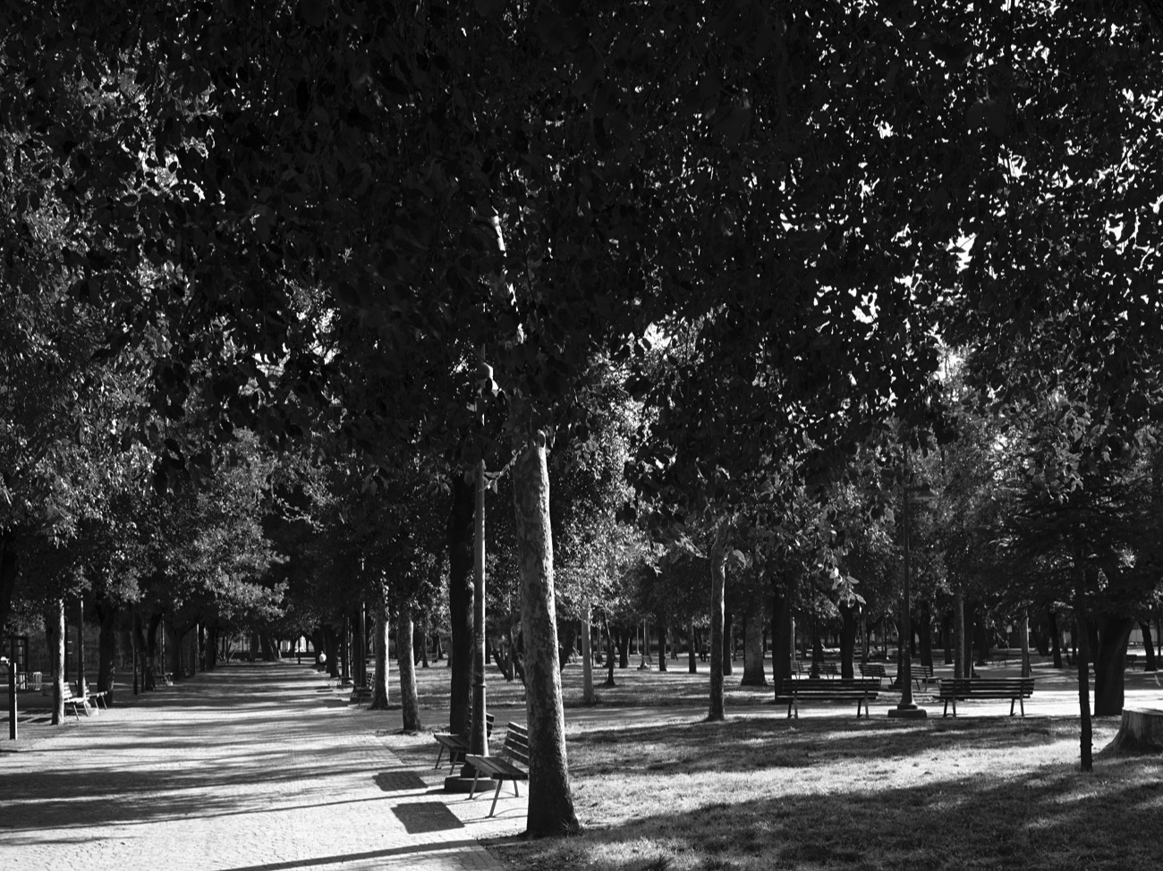 A short description about the picture goes here